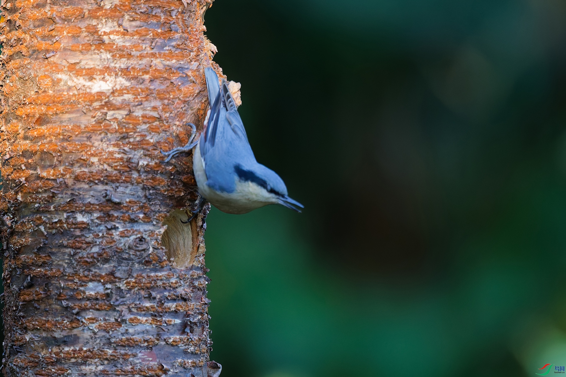 DSC_5932_DxO_DxOa.jpg