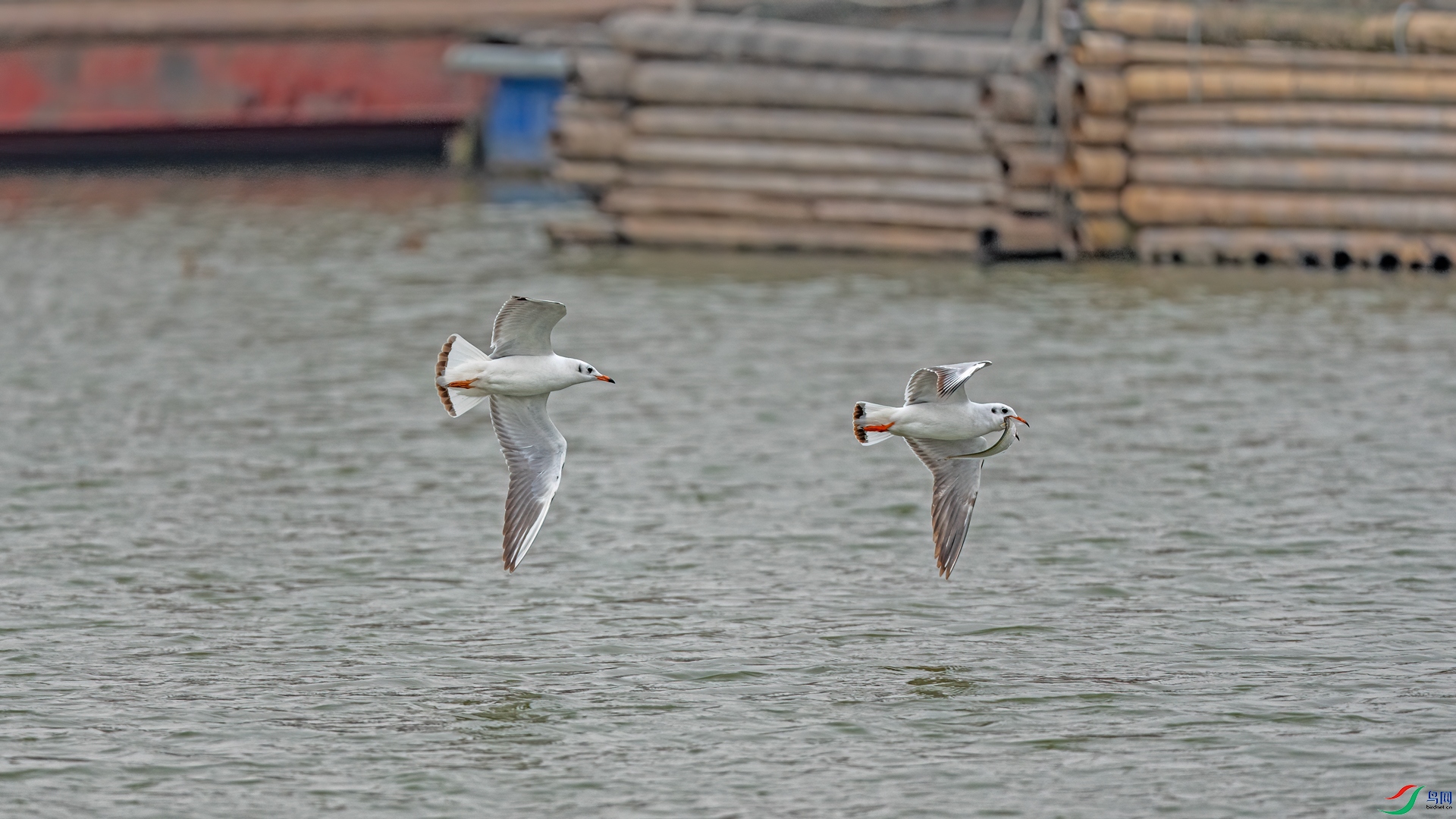 DSC04570.jpg