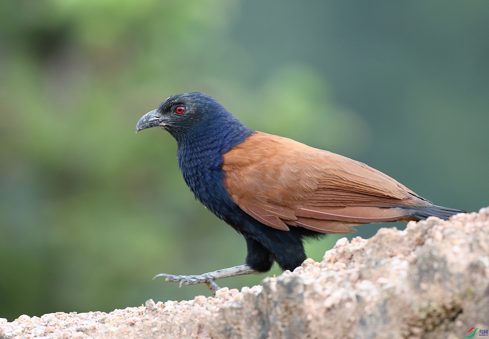 DSC_5731.jpg