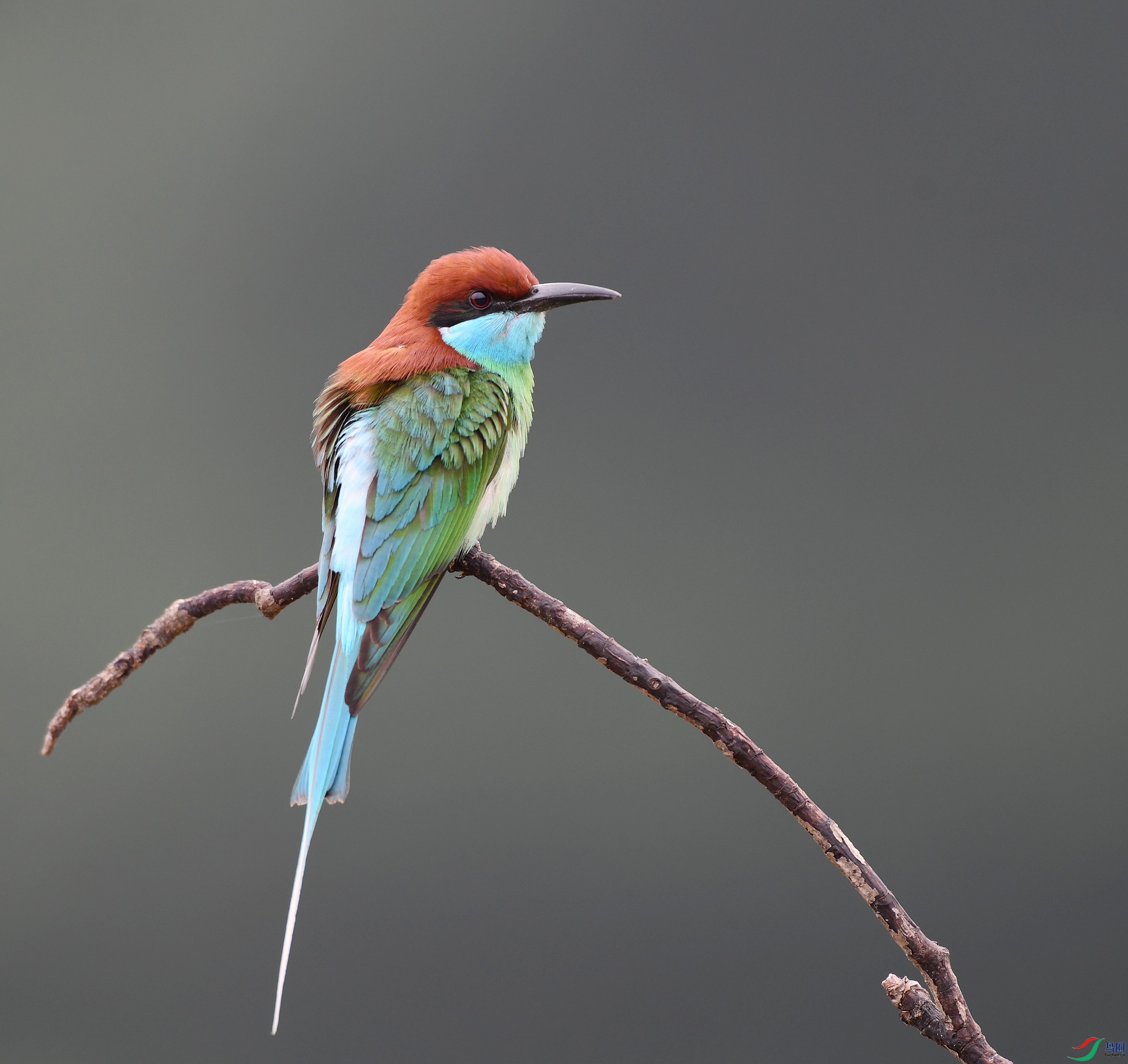 DSC_6056.jpg