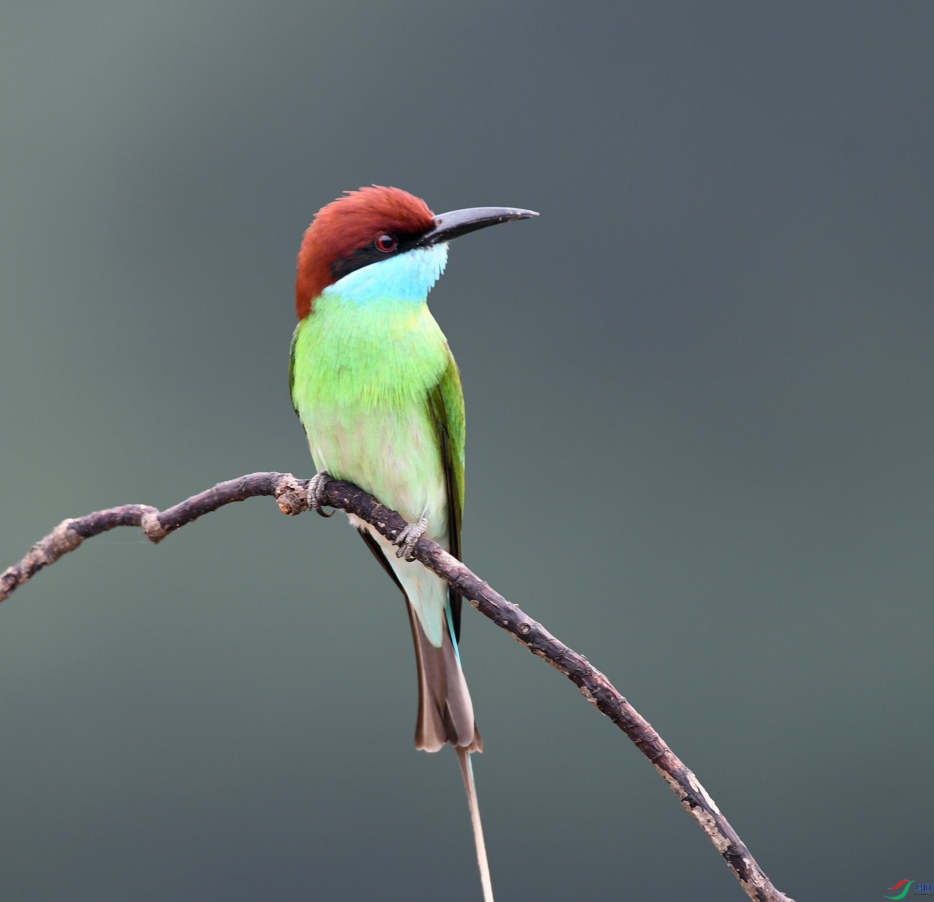 DSC_6484.jpg