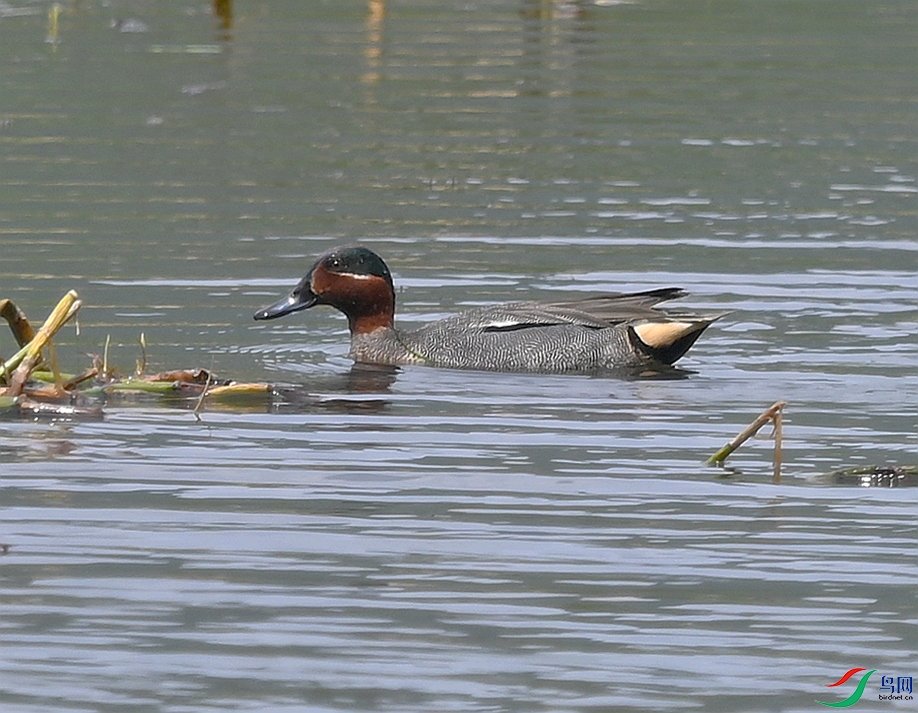 DSC_6450.JPG