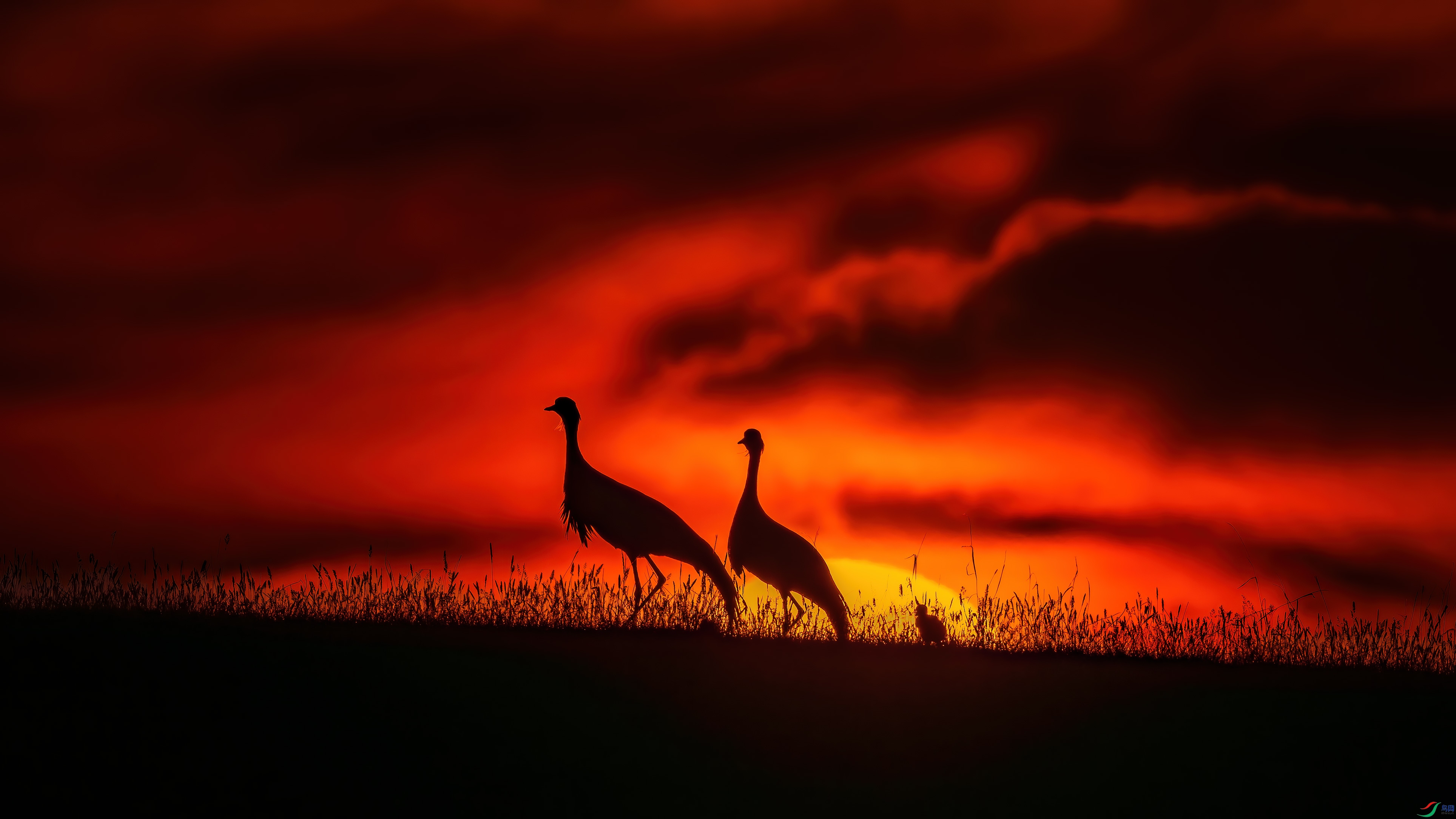 ��DSC00885.jpg