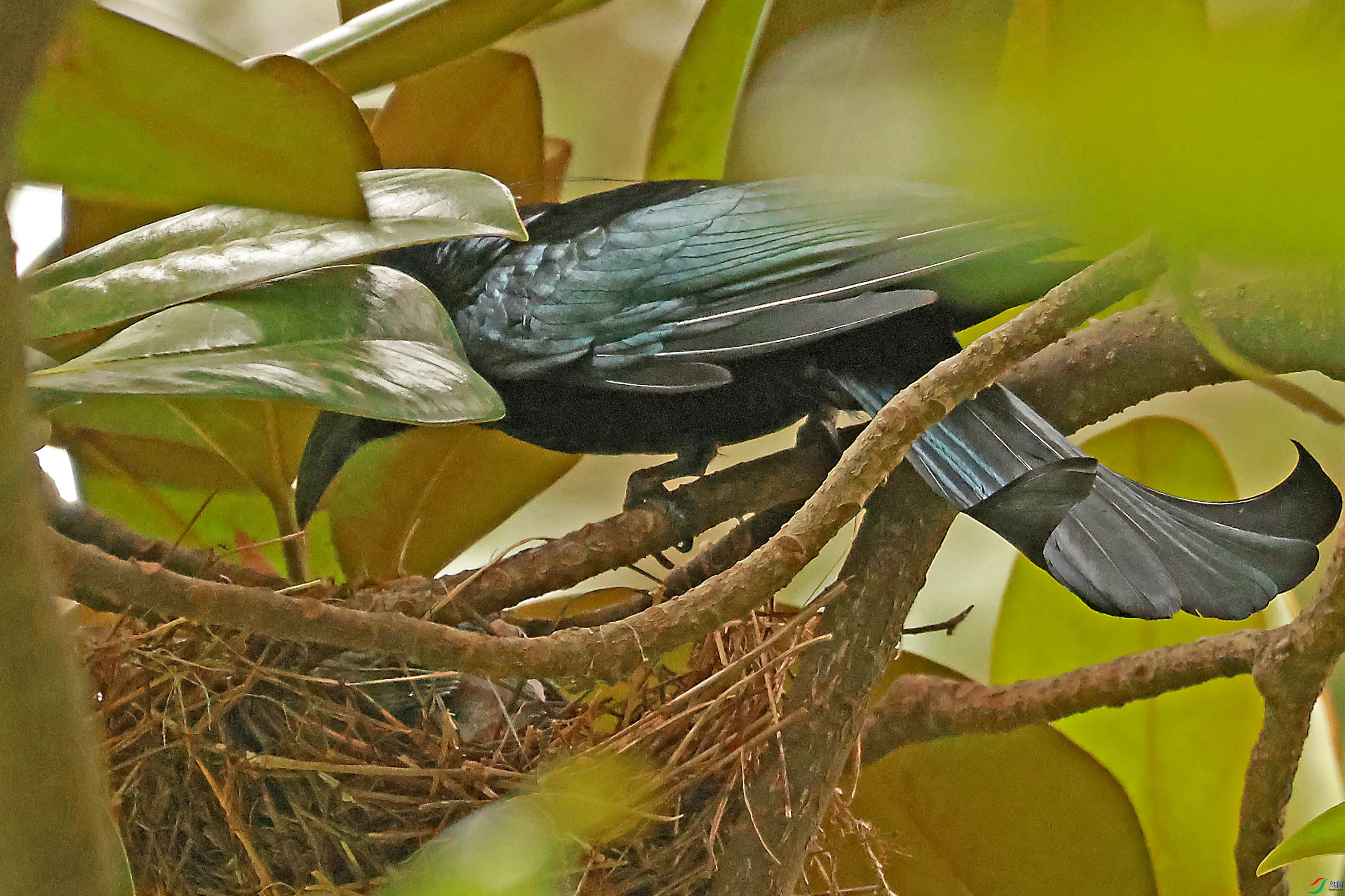 2G9A1261.JPG