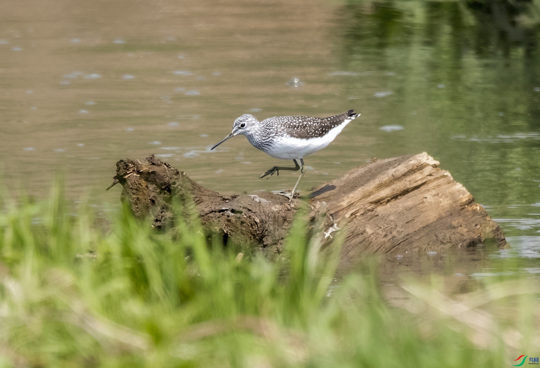 DSC_6394_��ͼ�� ����.jpg