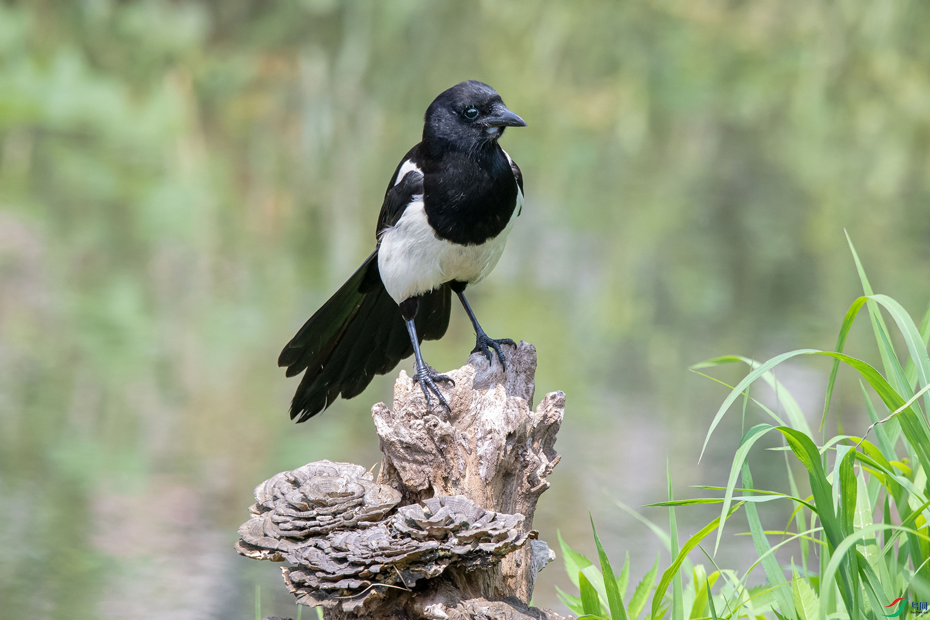DSC_8005_��ͼ�� ����.jpg