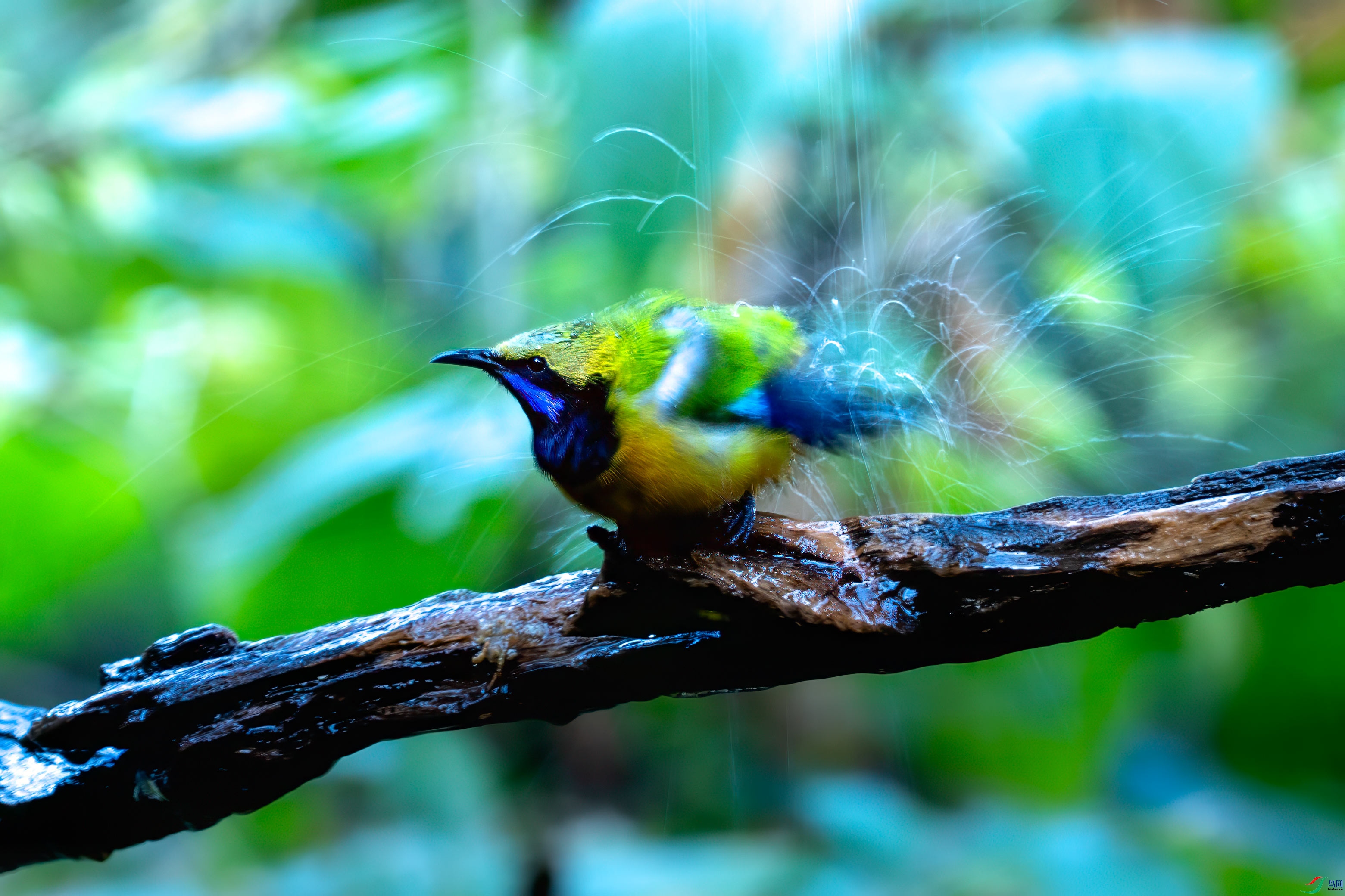 _DSC8180.jpg
