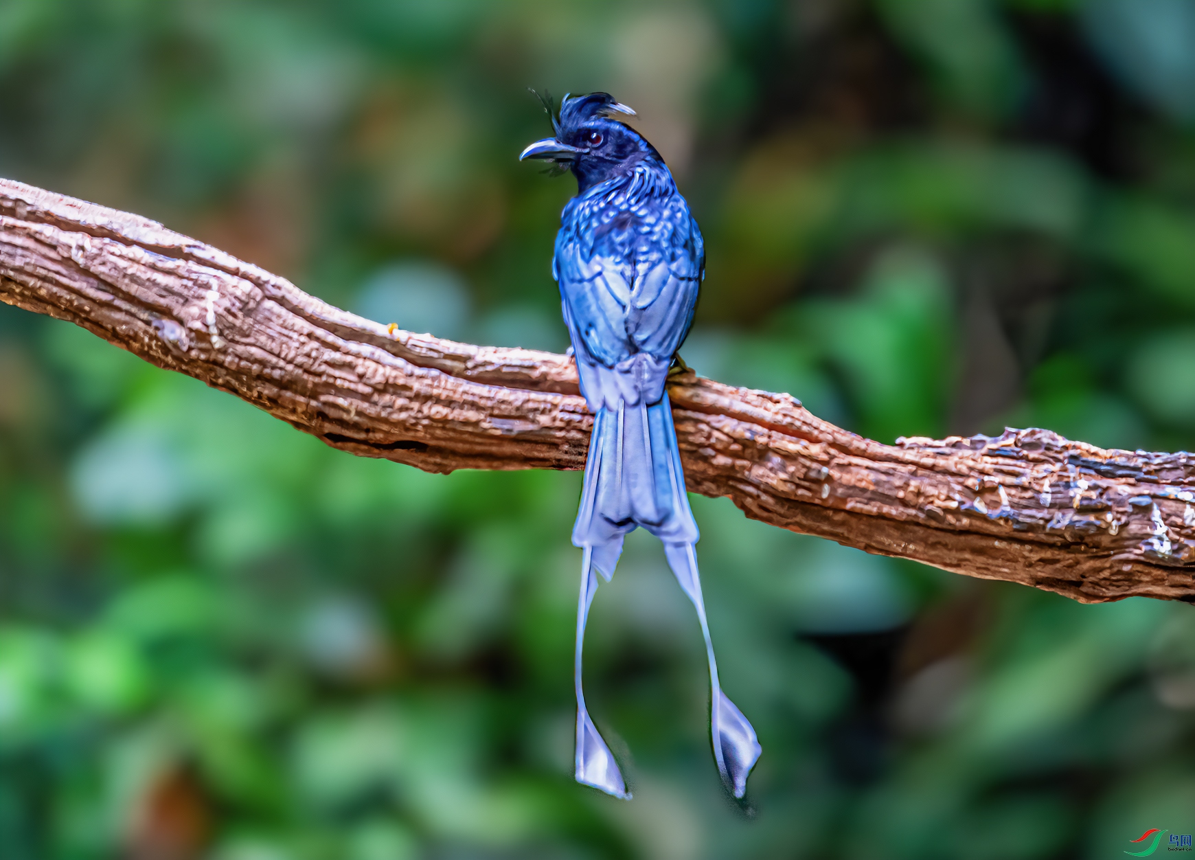 _DSC7446-21.jpg
