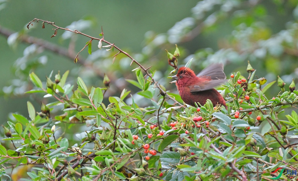 DSCF5159.1.jpg