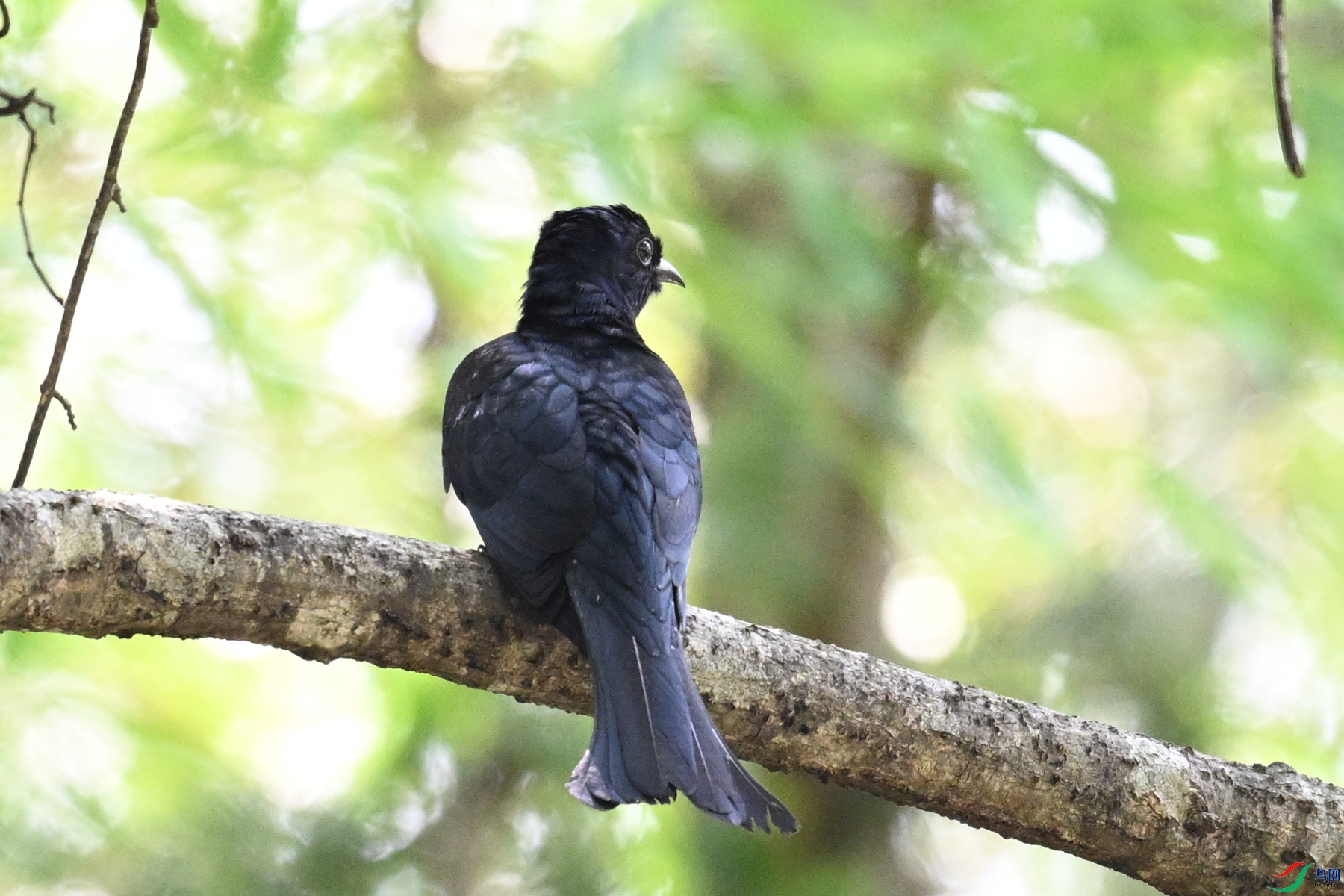DSC_0686.JPG
