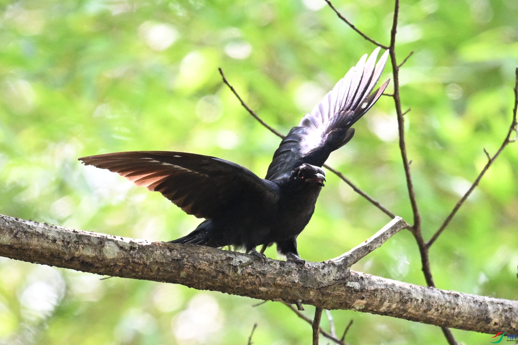 DSC_0741.JPG