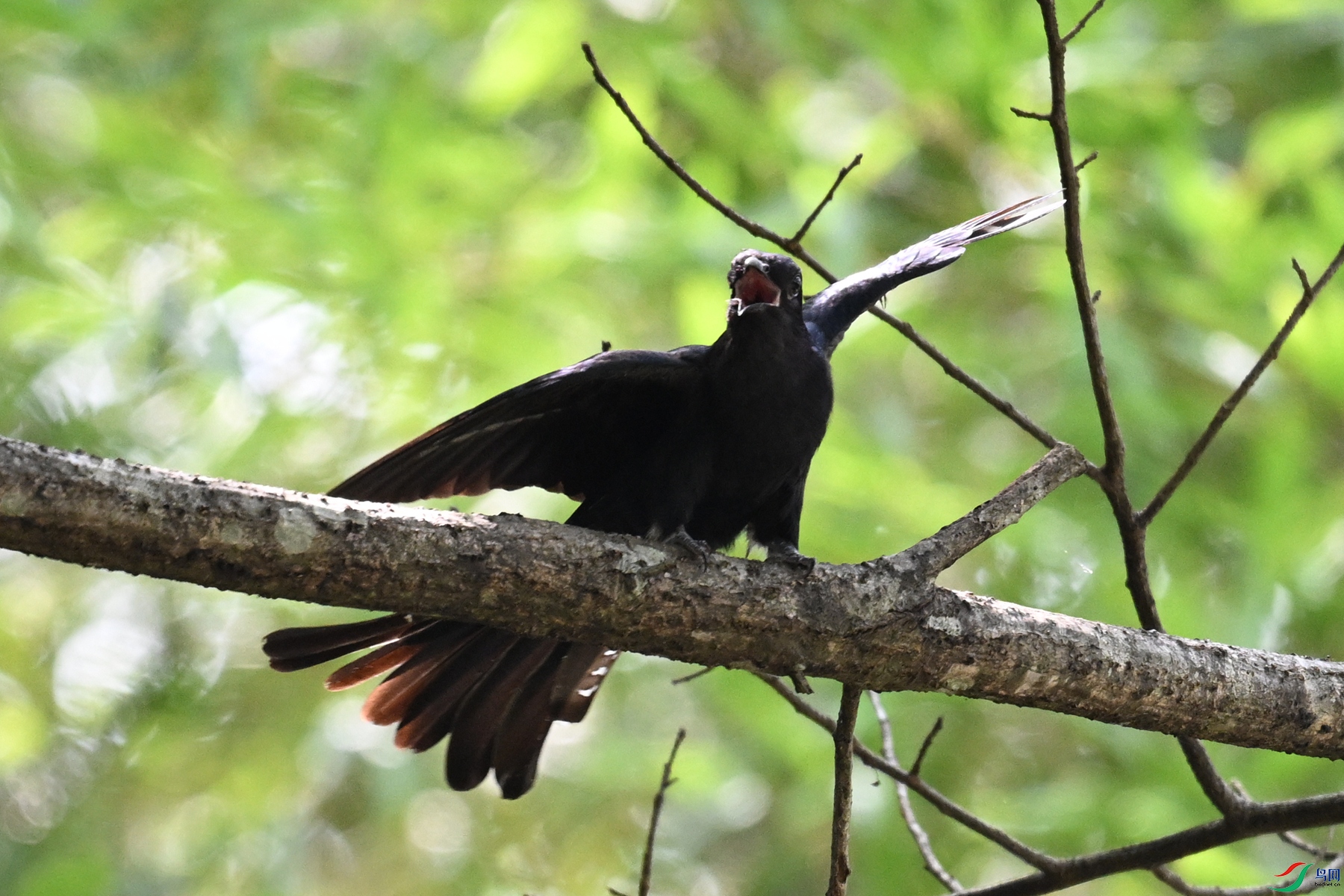 DSC_0747.JPG