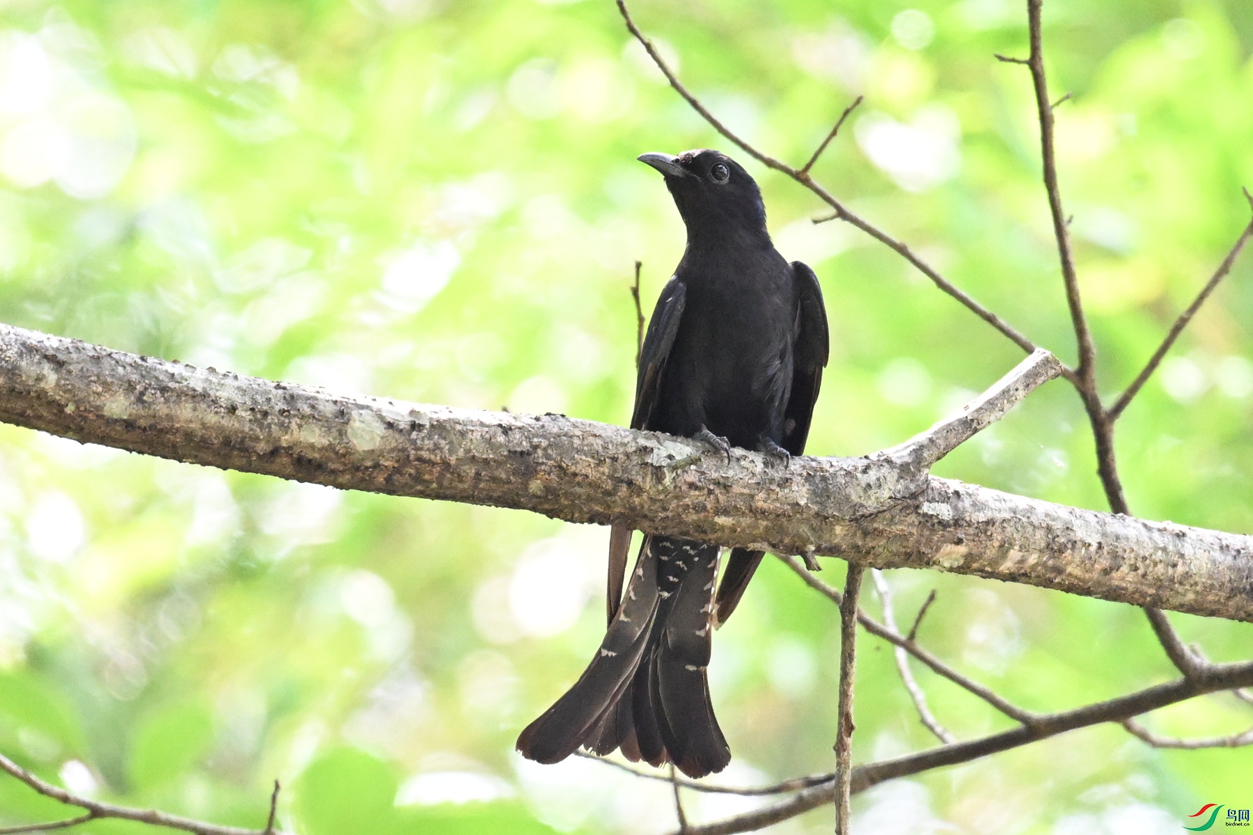 DSC_0764.JPG