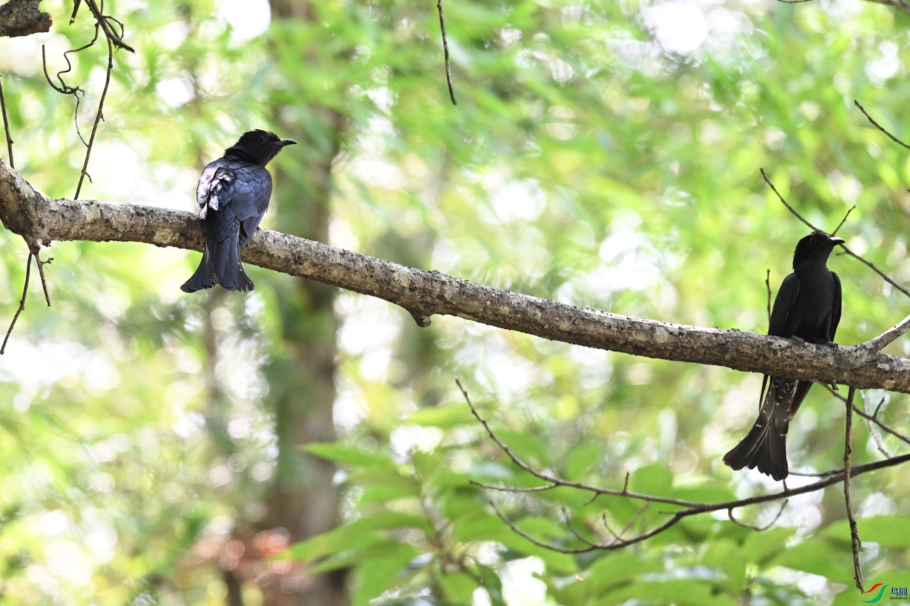 DSC_0695.JPG