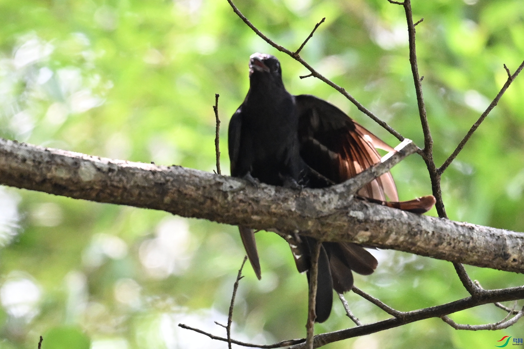 DSC_0734.JPG