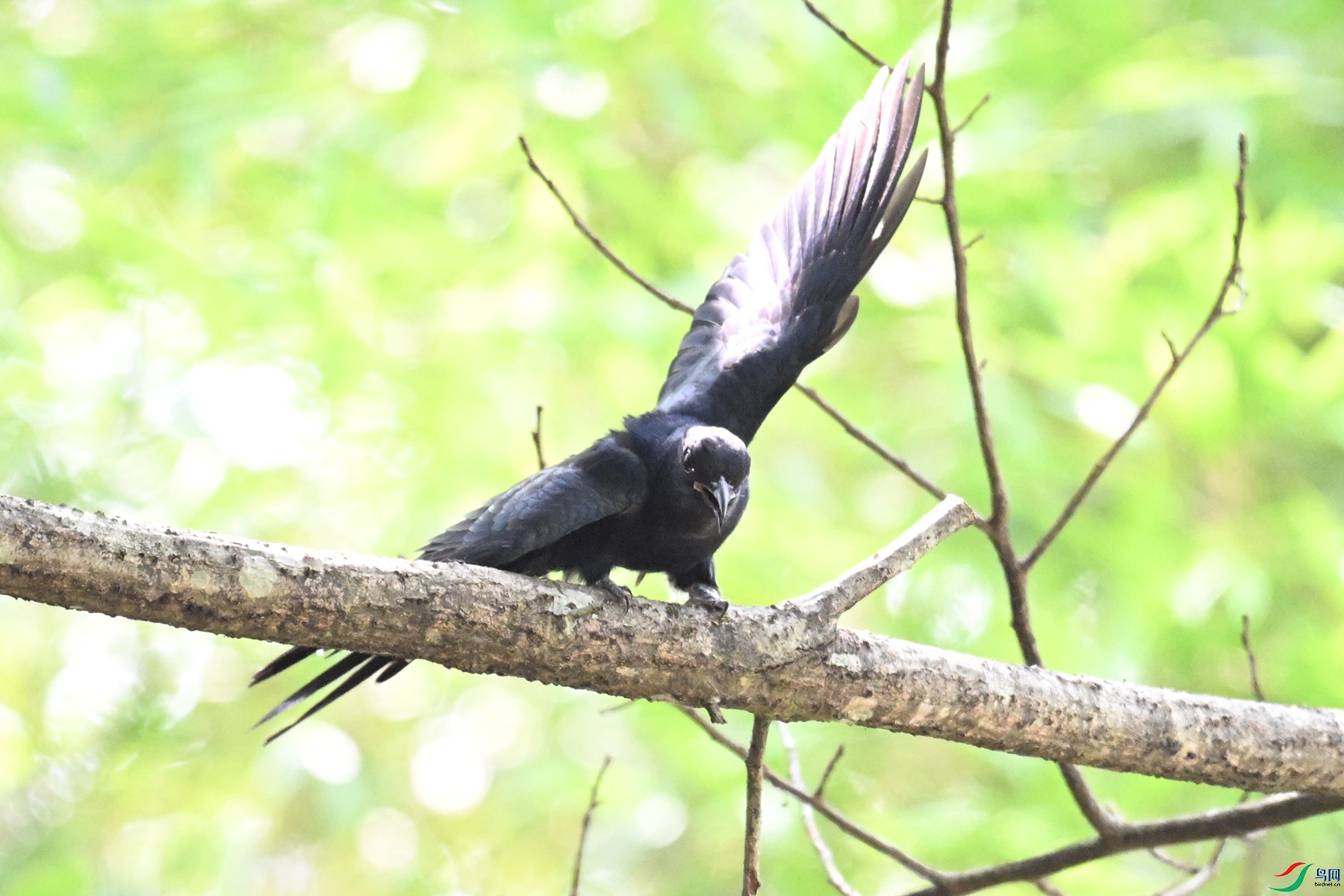 DSC_0753.JPG