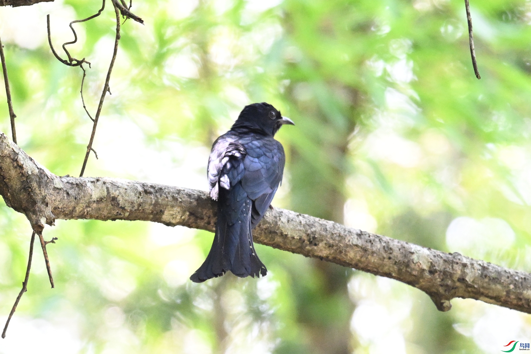 DSC_0698.JPG