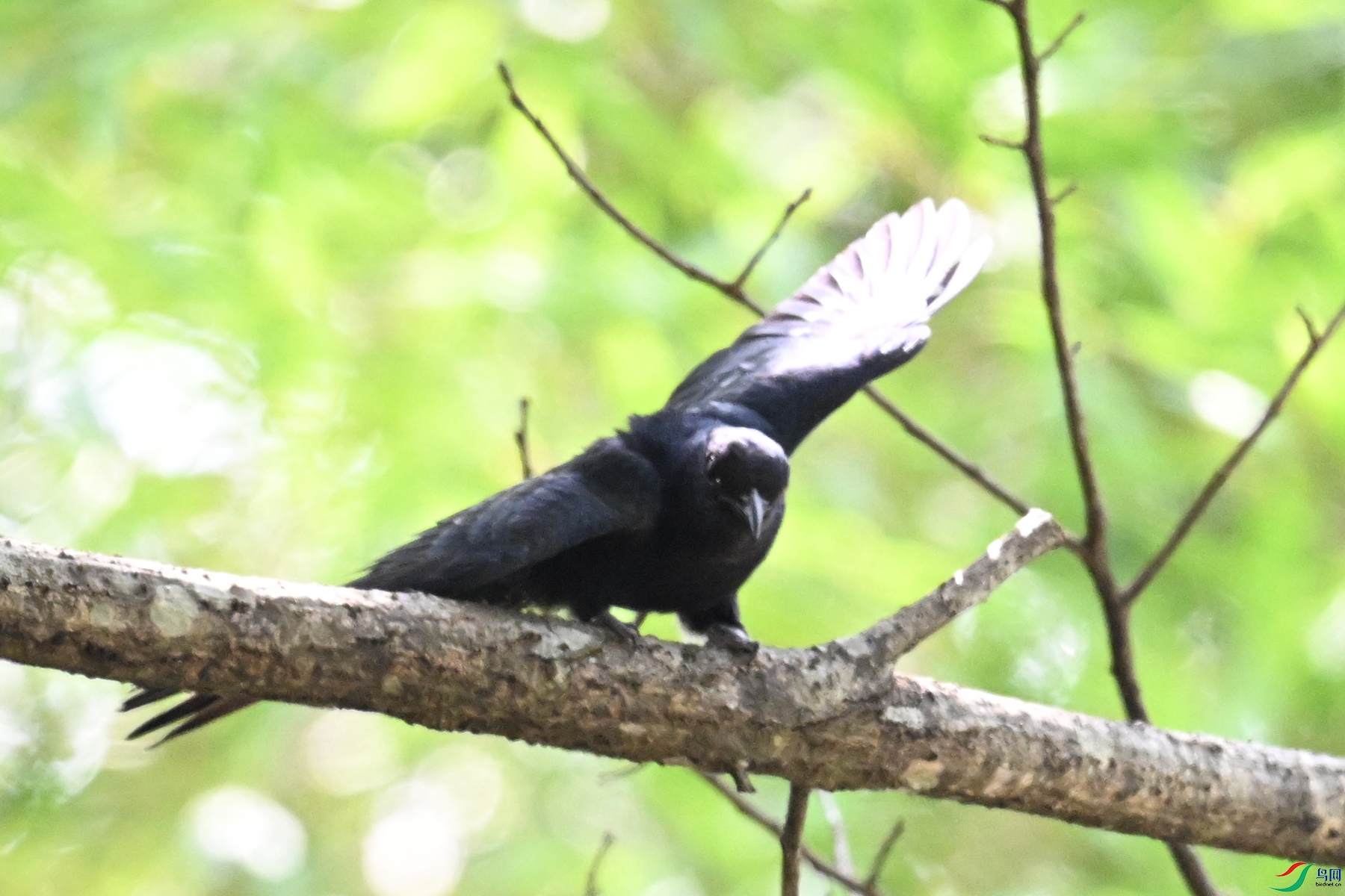 DSC_0756.JPG