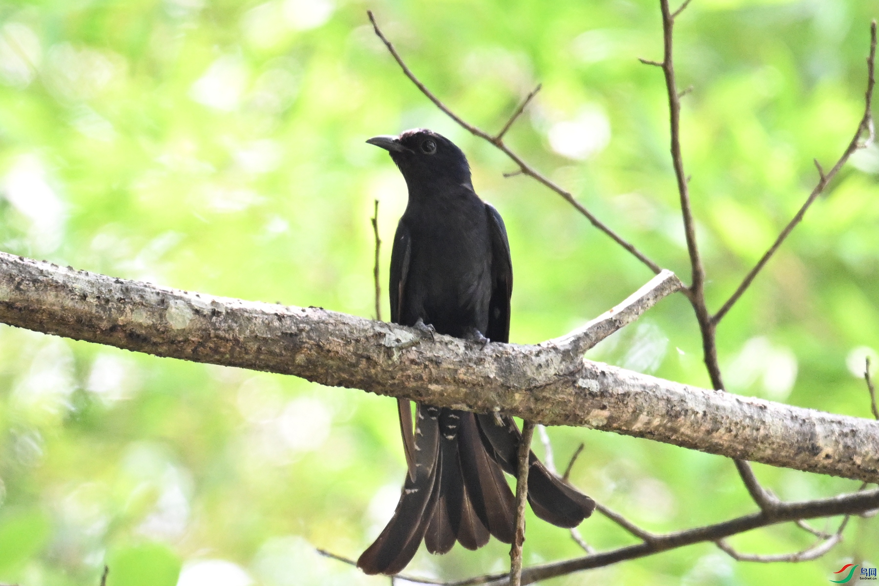 DSC_0775.JPG