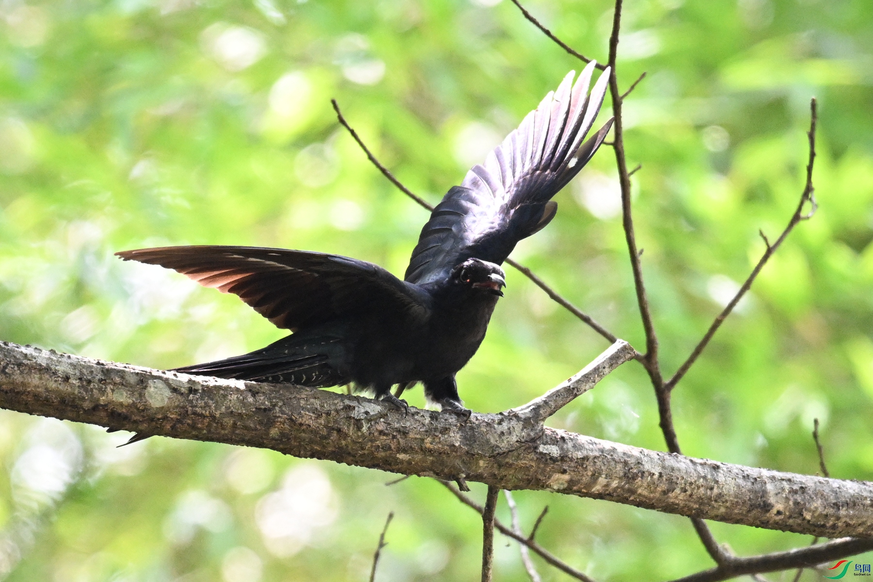 DSC_0738.JPG