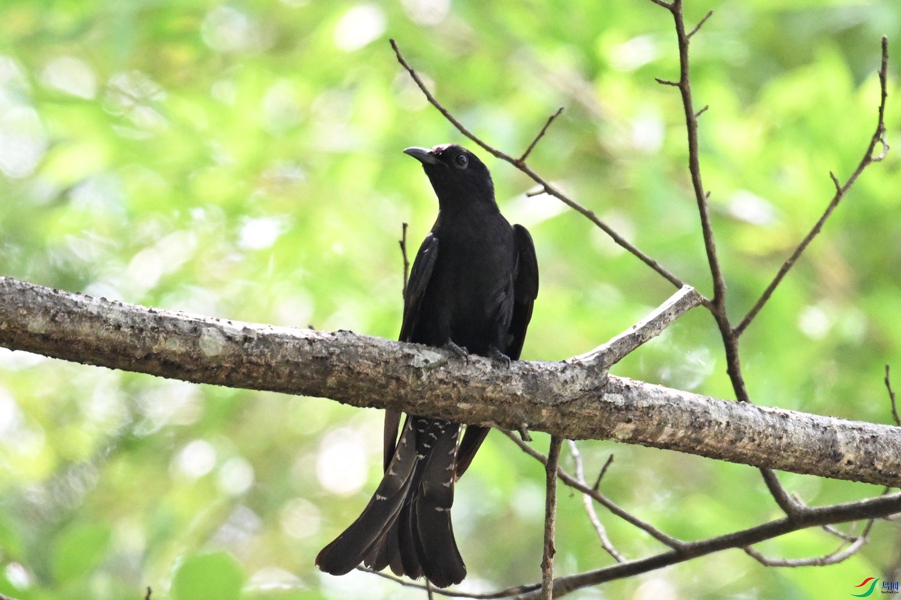 DSC_0760.JPG