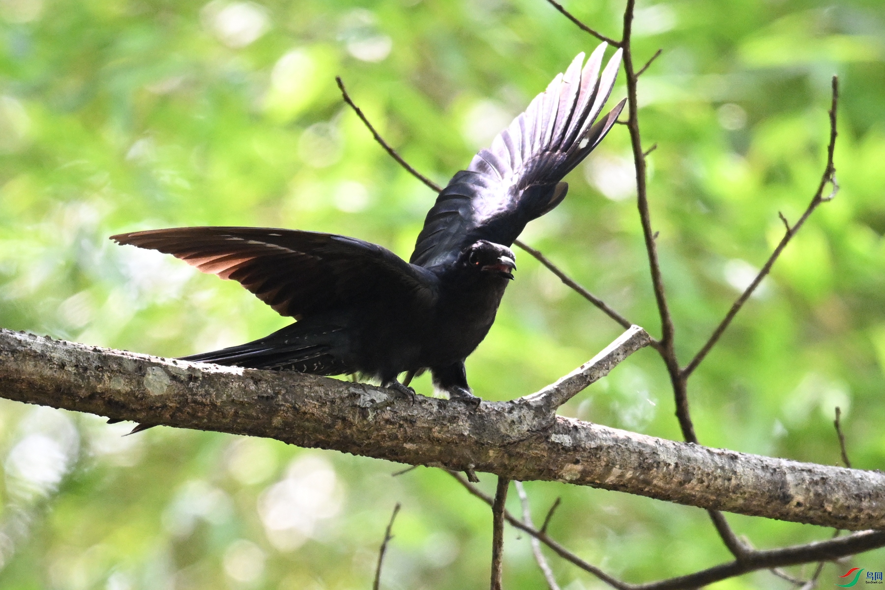 DSC_0739.JPG