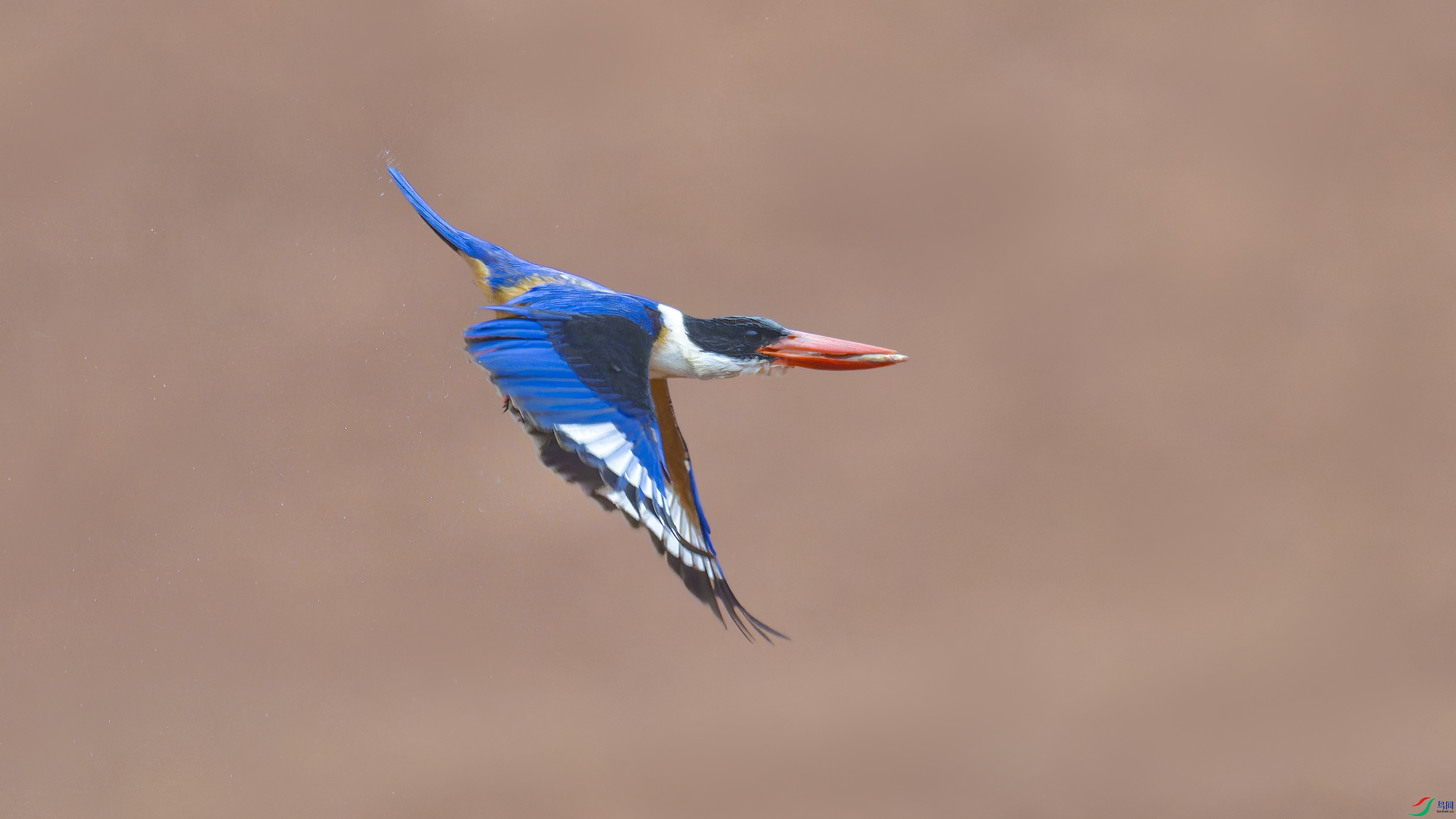 DSC_9274_DxO.jpg
