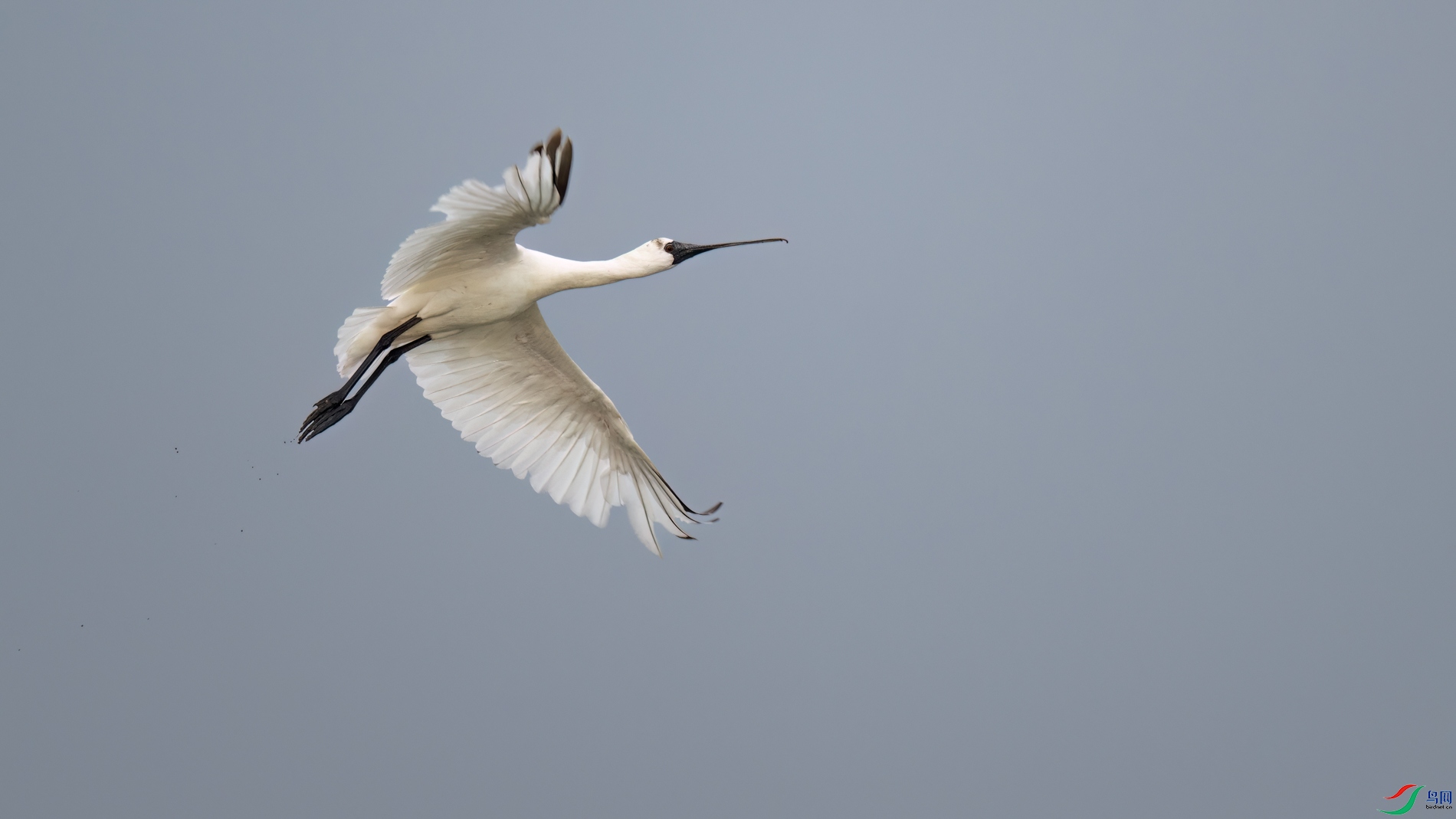 DSC_5649sen2026-2-8-58-�༭.jpg