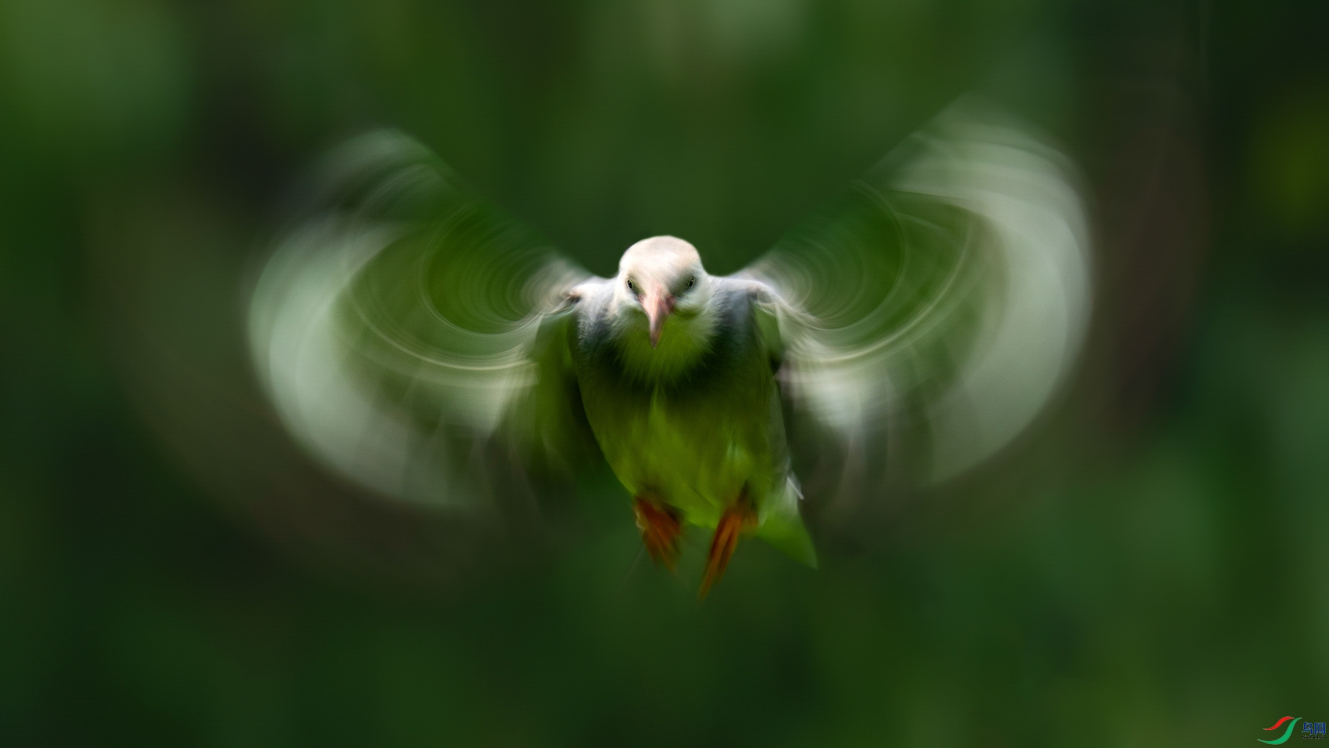 ���