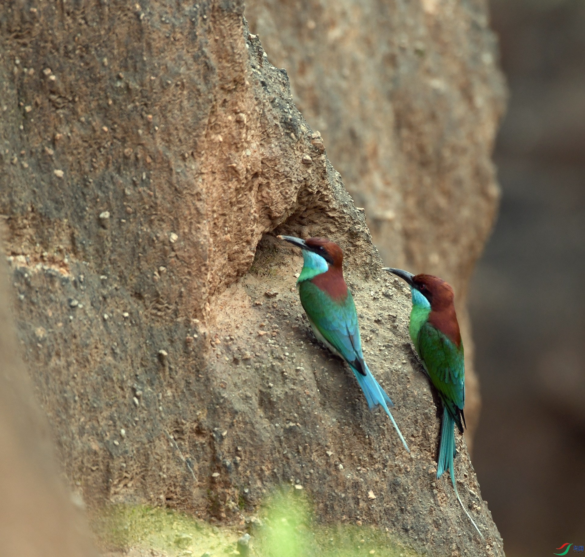 DSC_0423.jpg