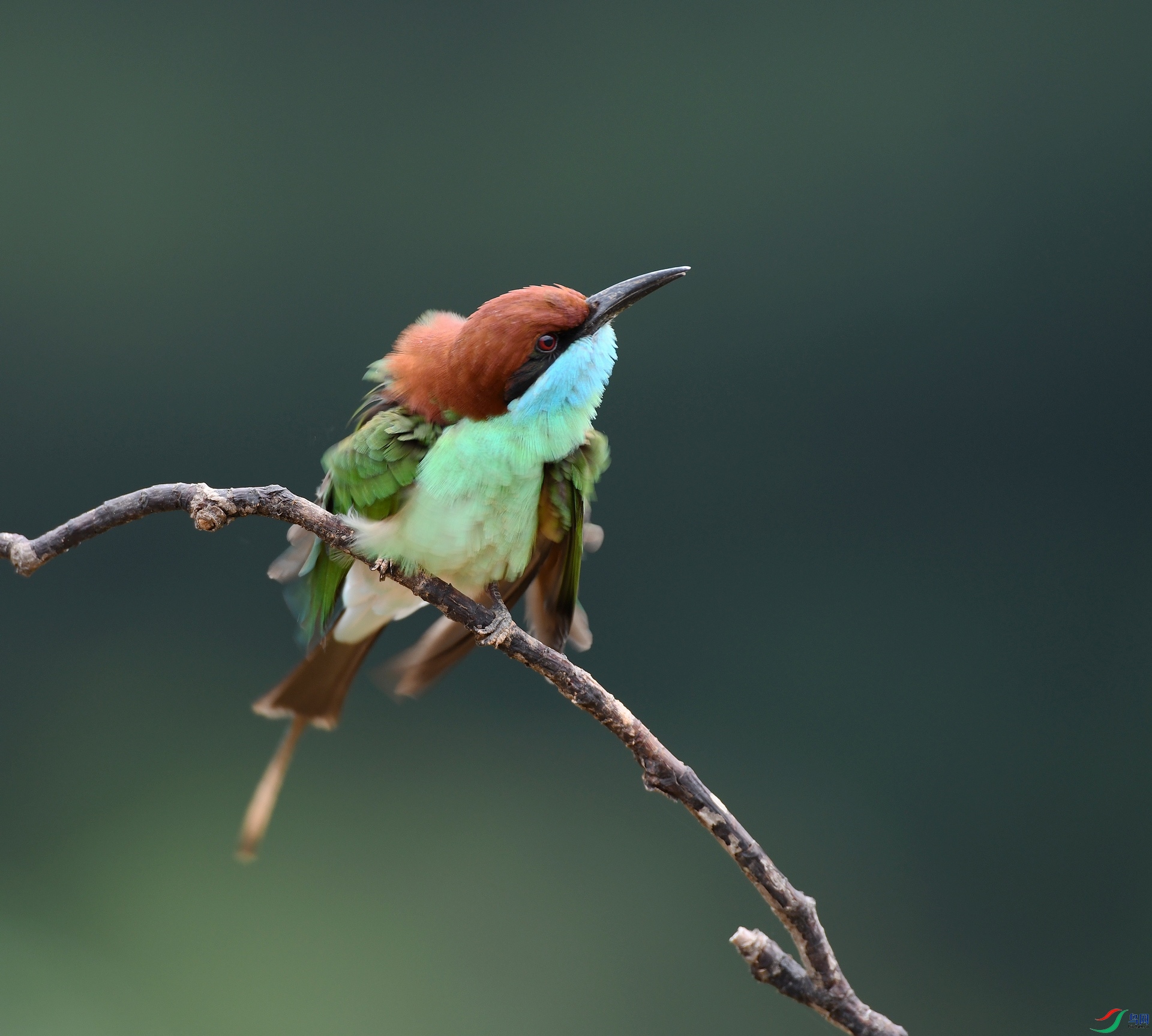 DSC_0598.jpg