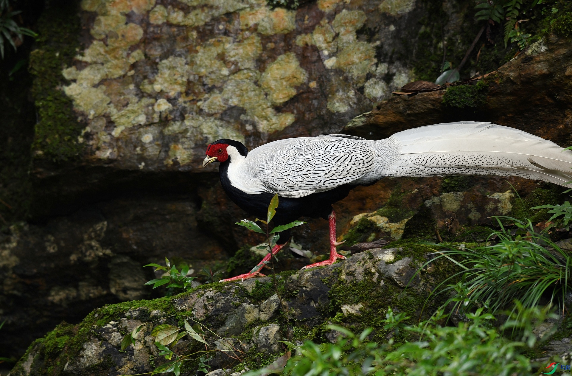 DSC_1169.jpg