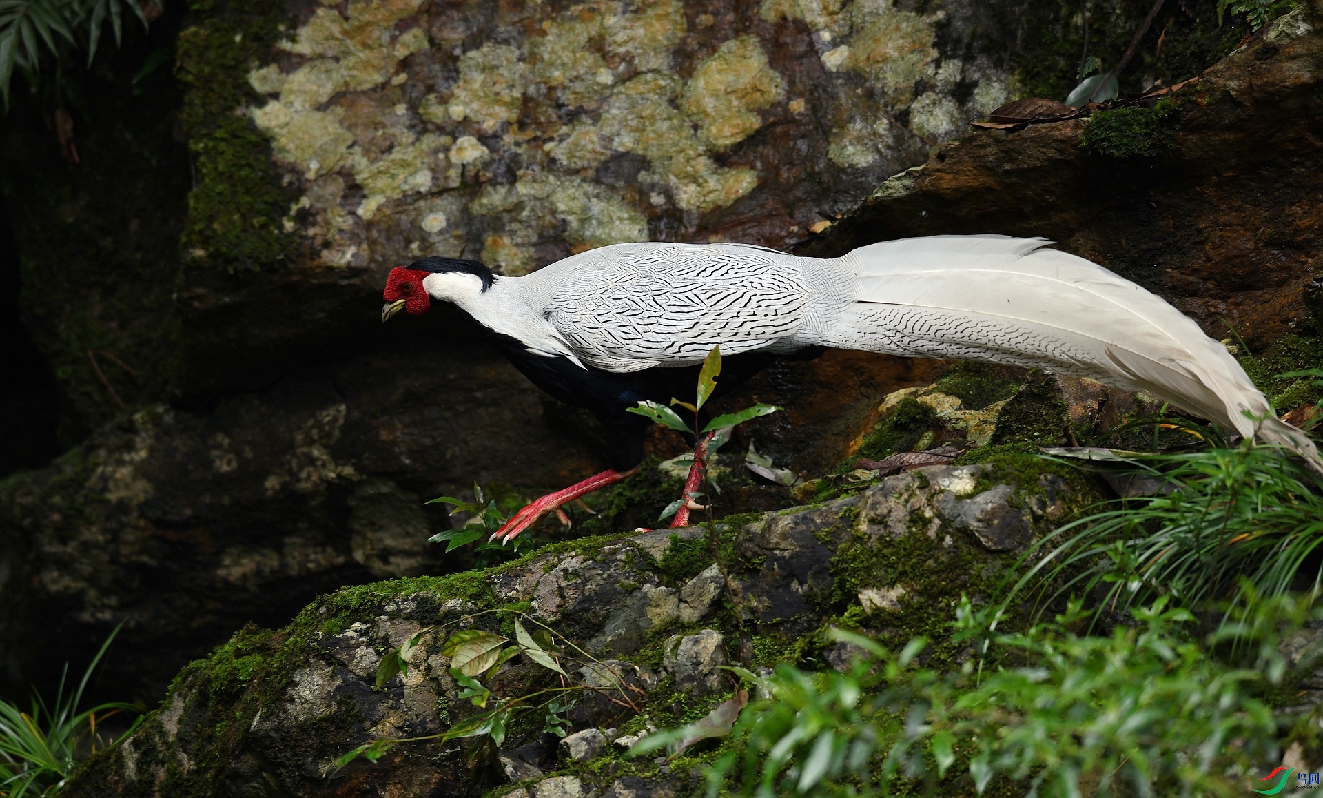 DSC_1223.jpg