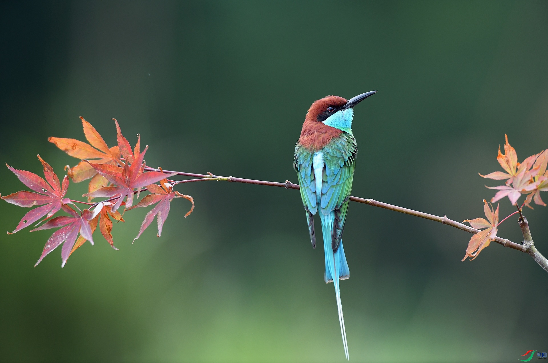 DSC_0640.jpg