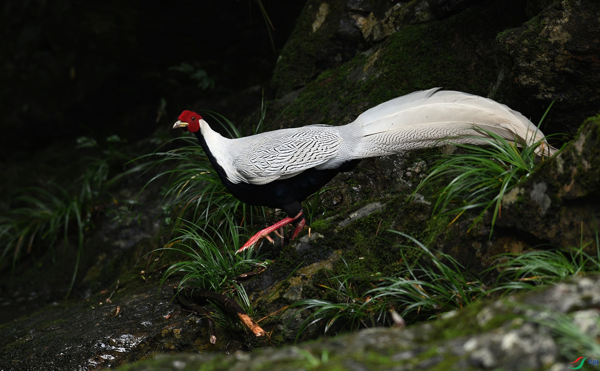 DSC_1234.jpg
