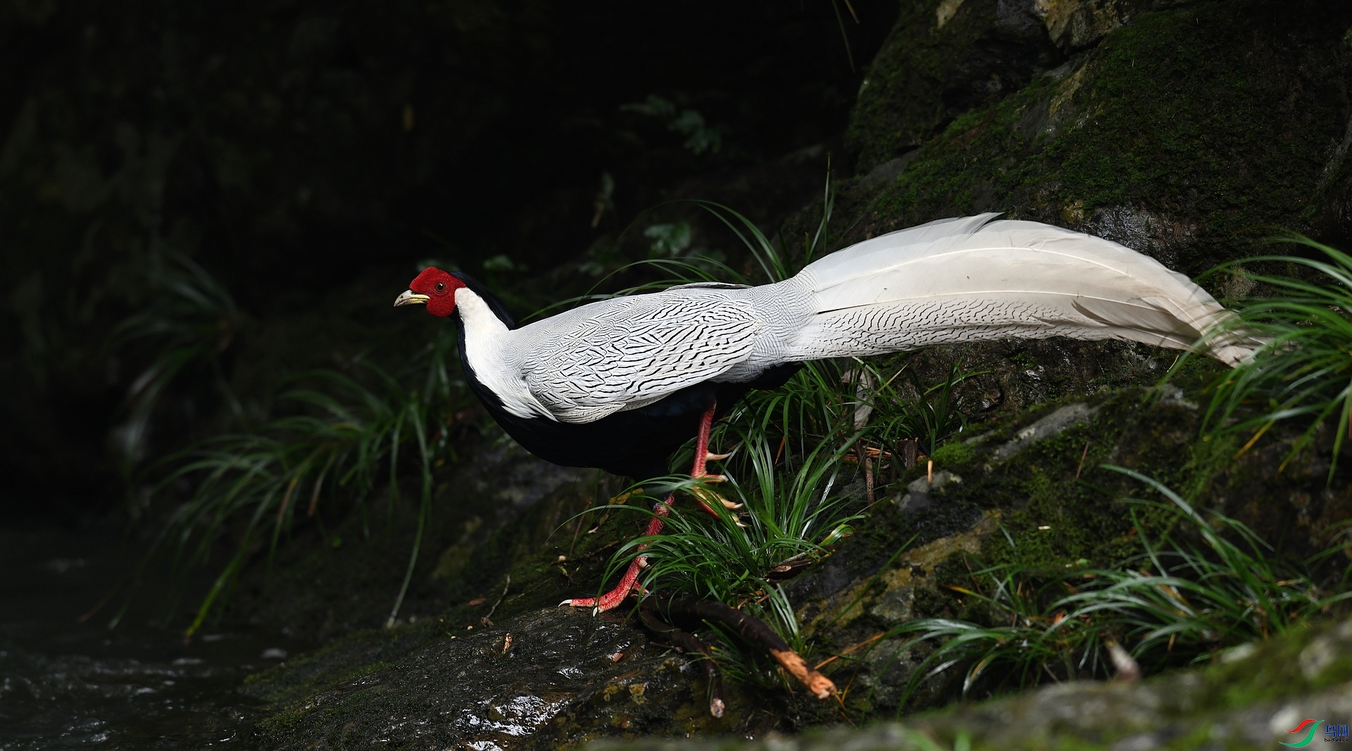 DSC_1237.jpg