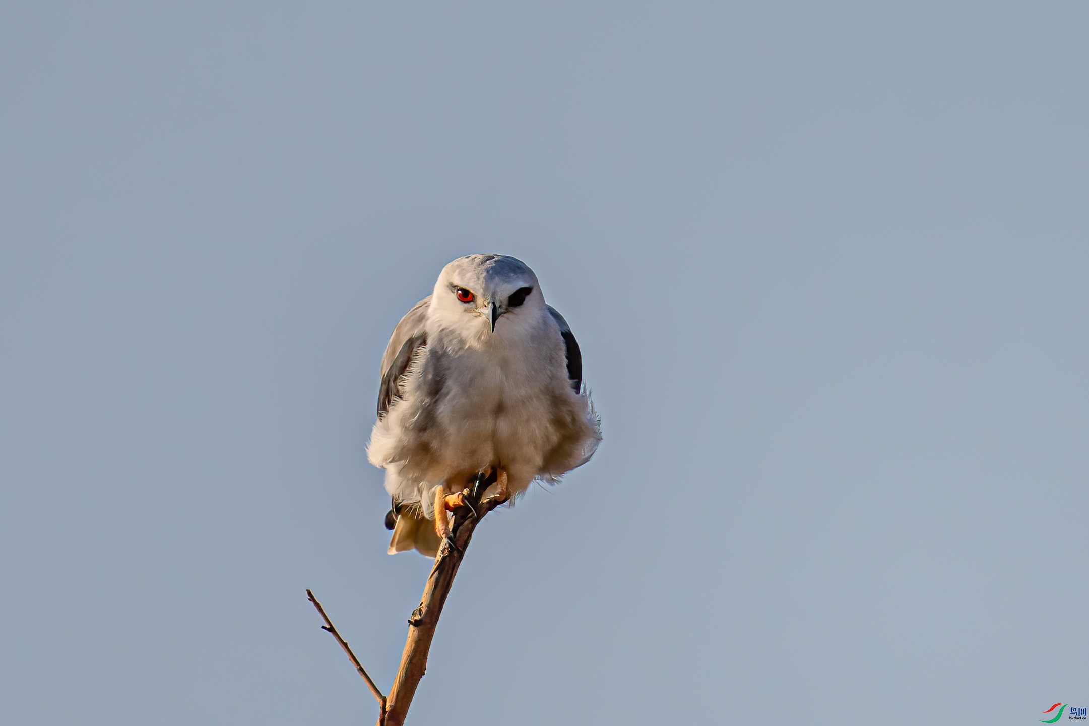 DSC_2588-11.jpg