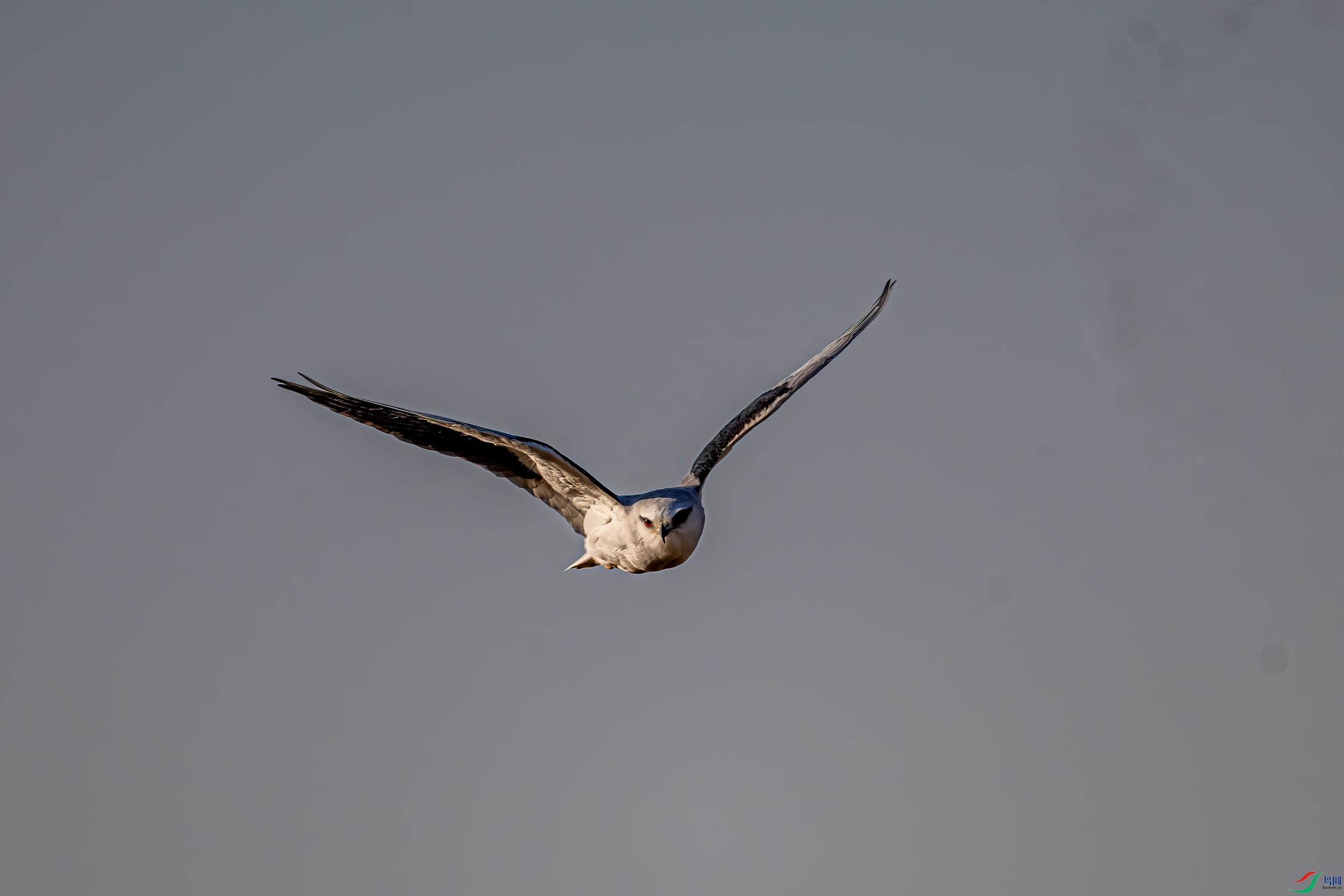 DSC_2628-11.jpg