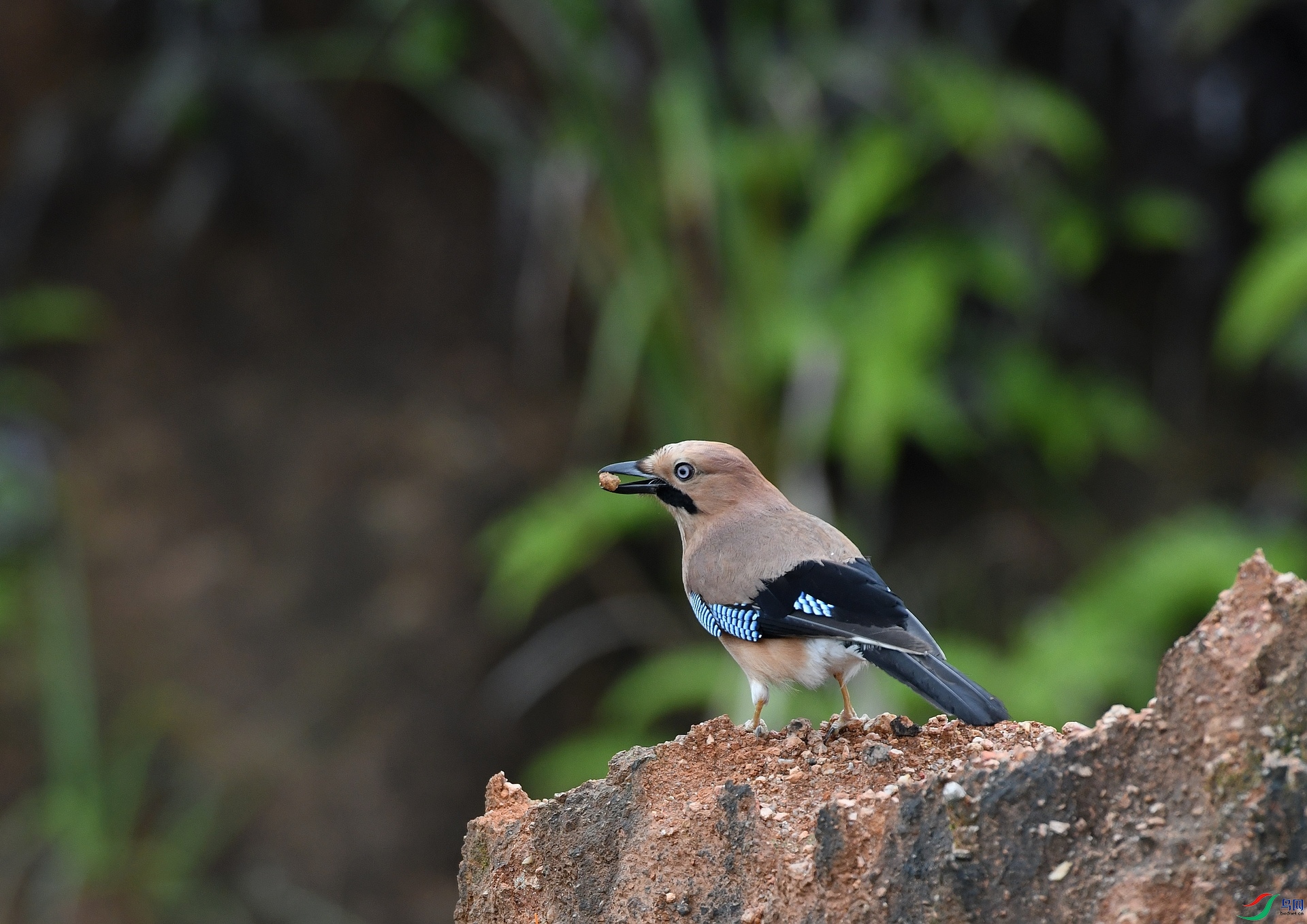 DSC_0201.jpg