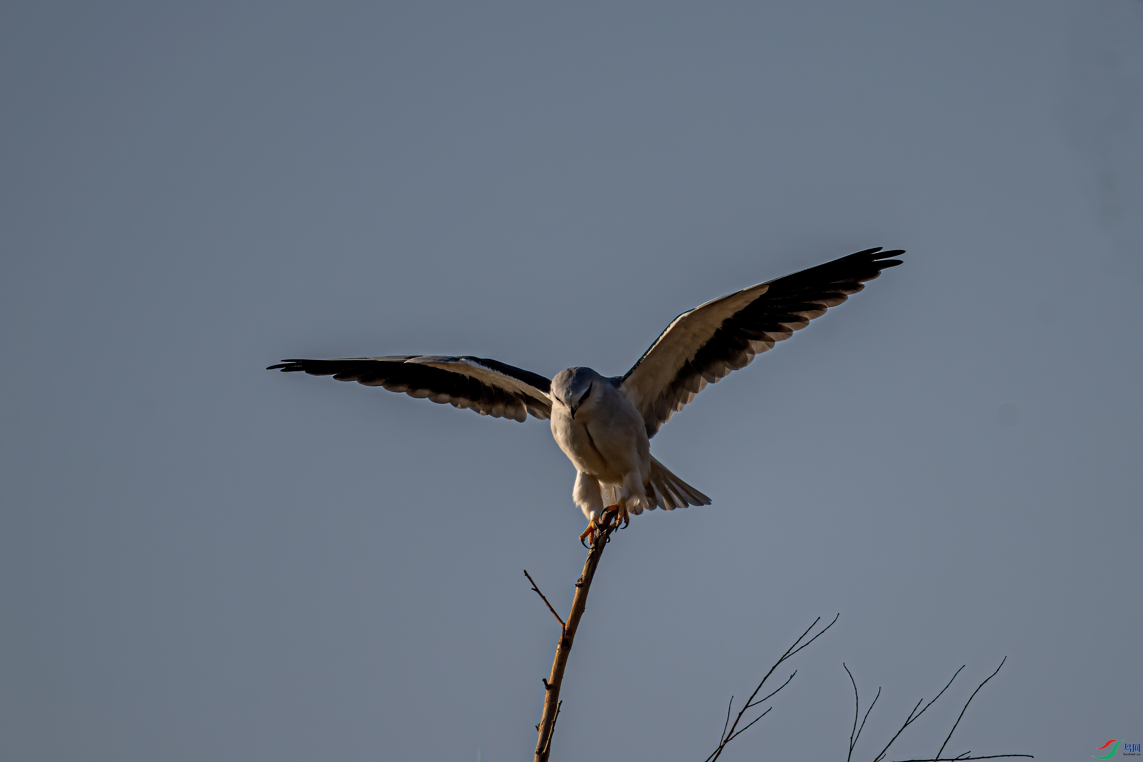 DSC_2870-11.jpg