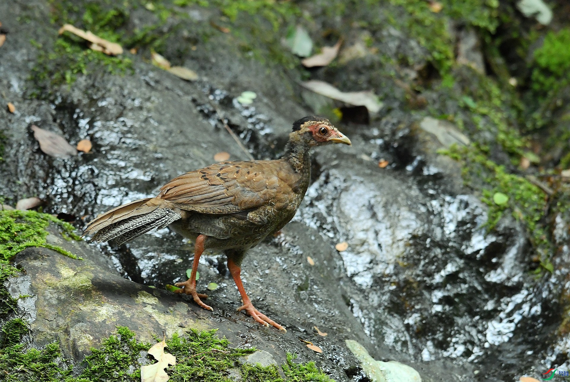 DSC_8101.jpg