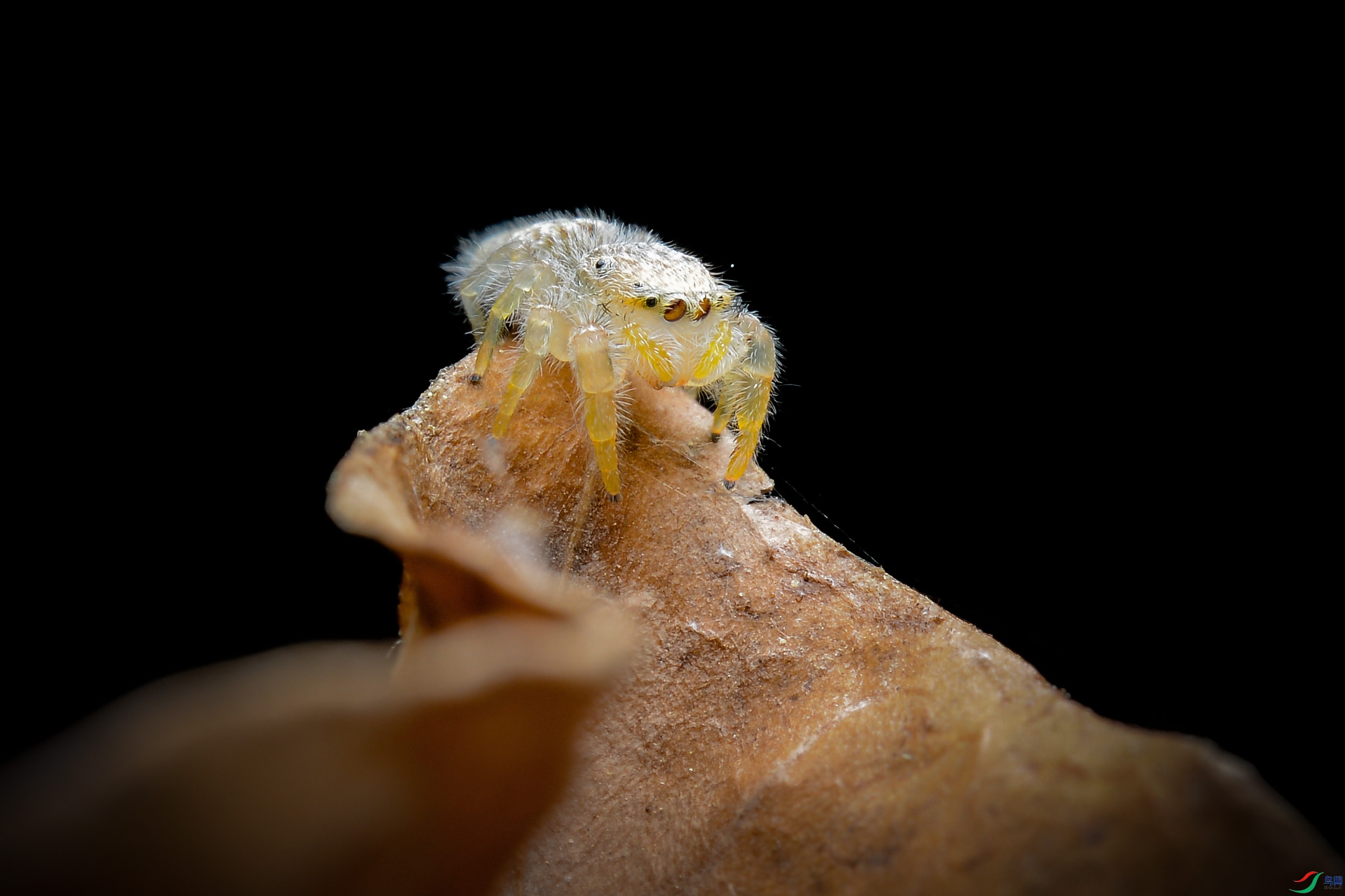 DSC_4224.JPG