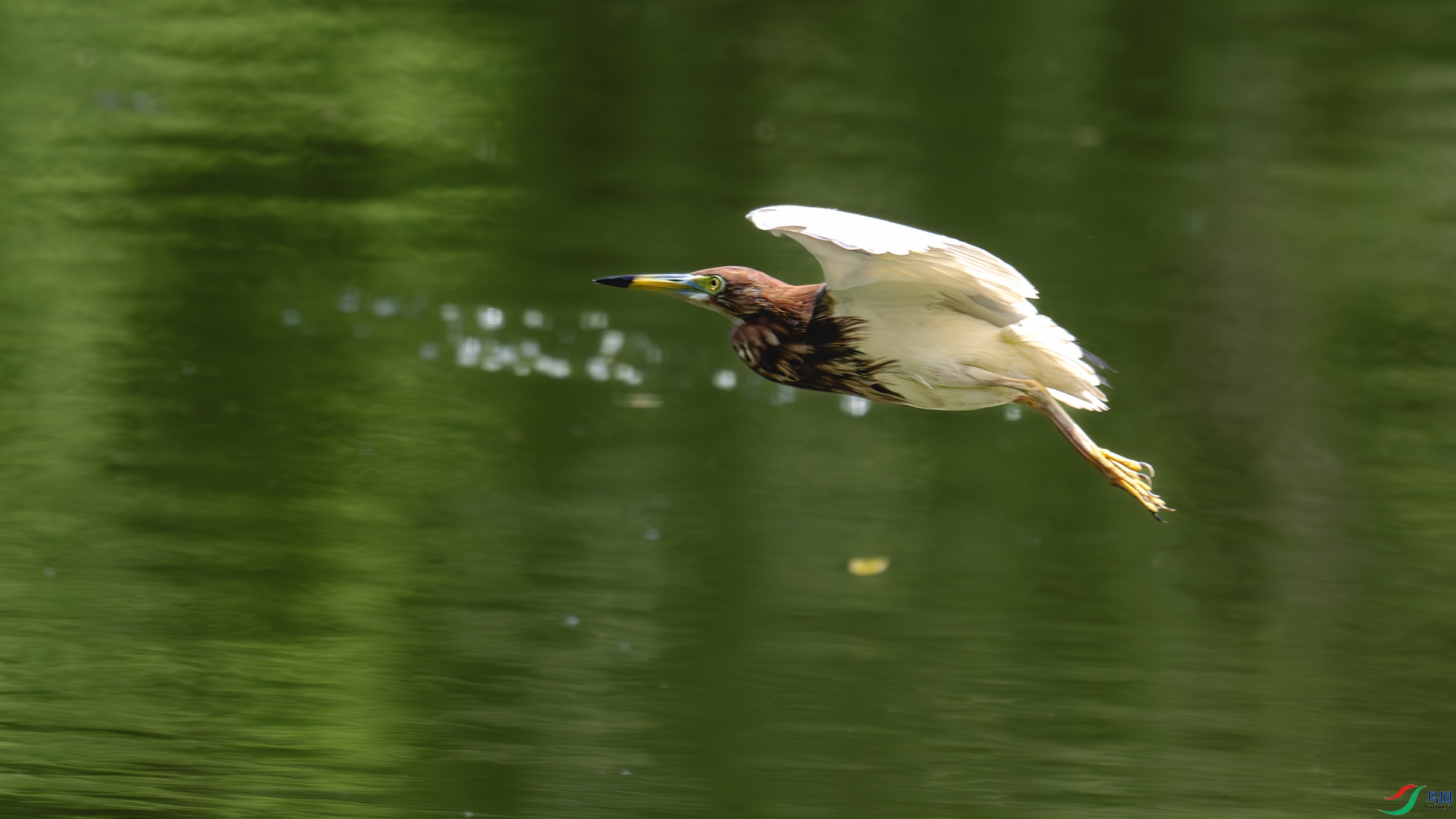 DSC_8451-����ǿ-NR ����.jpg