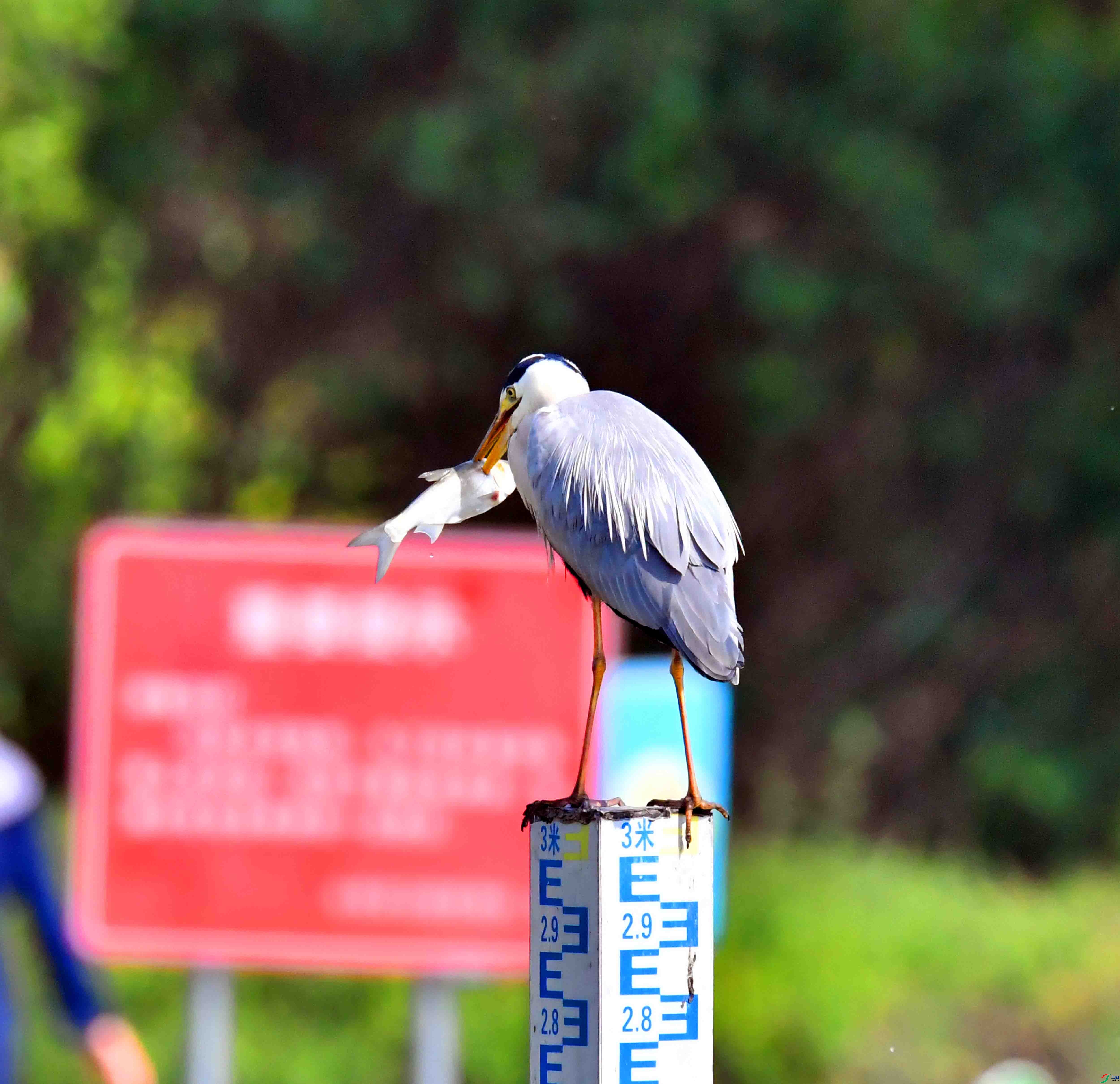 DSC_1354.JPG