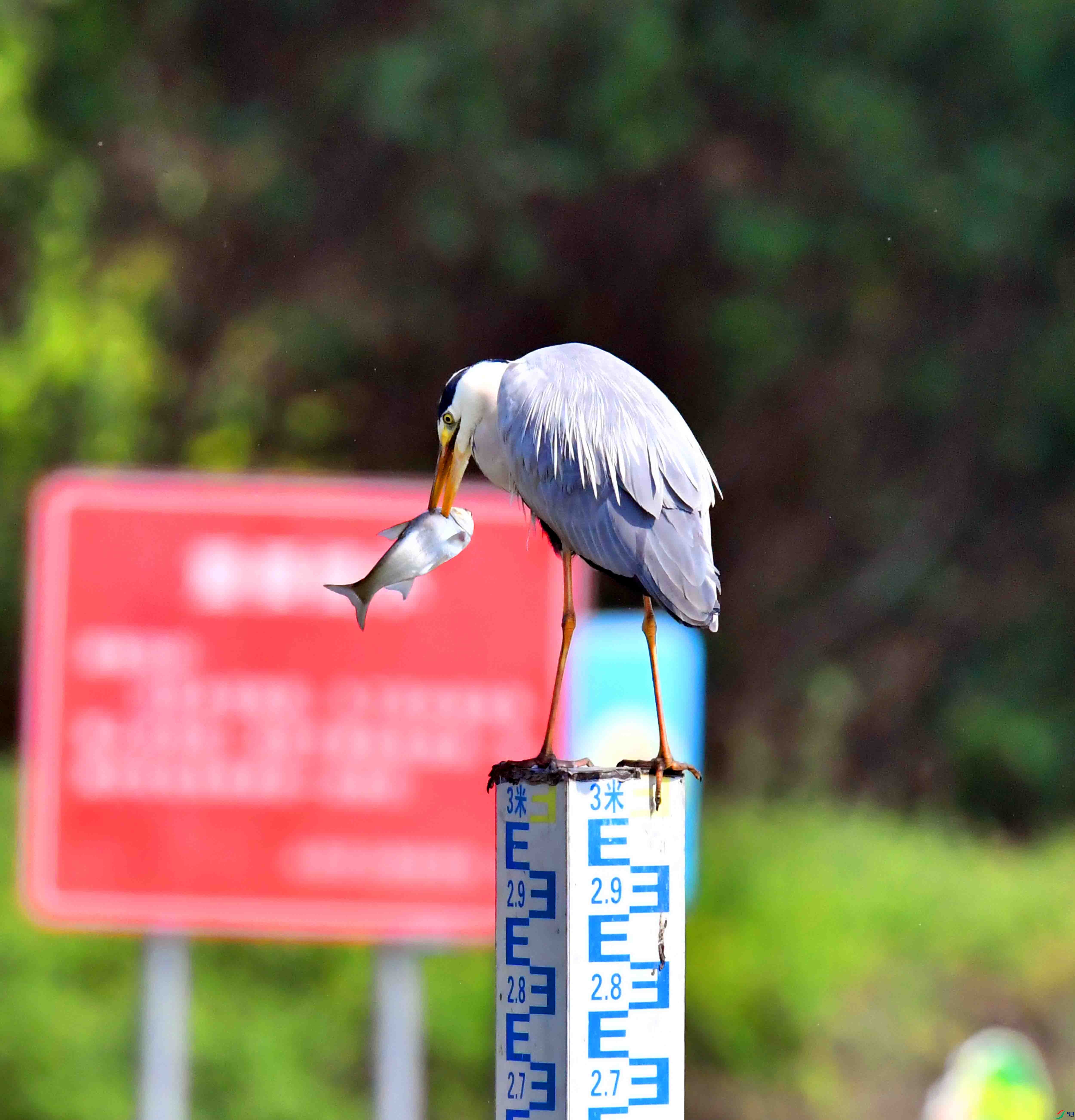 DSC_1358.JPG