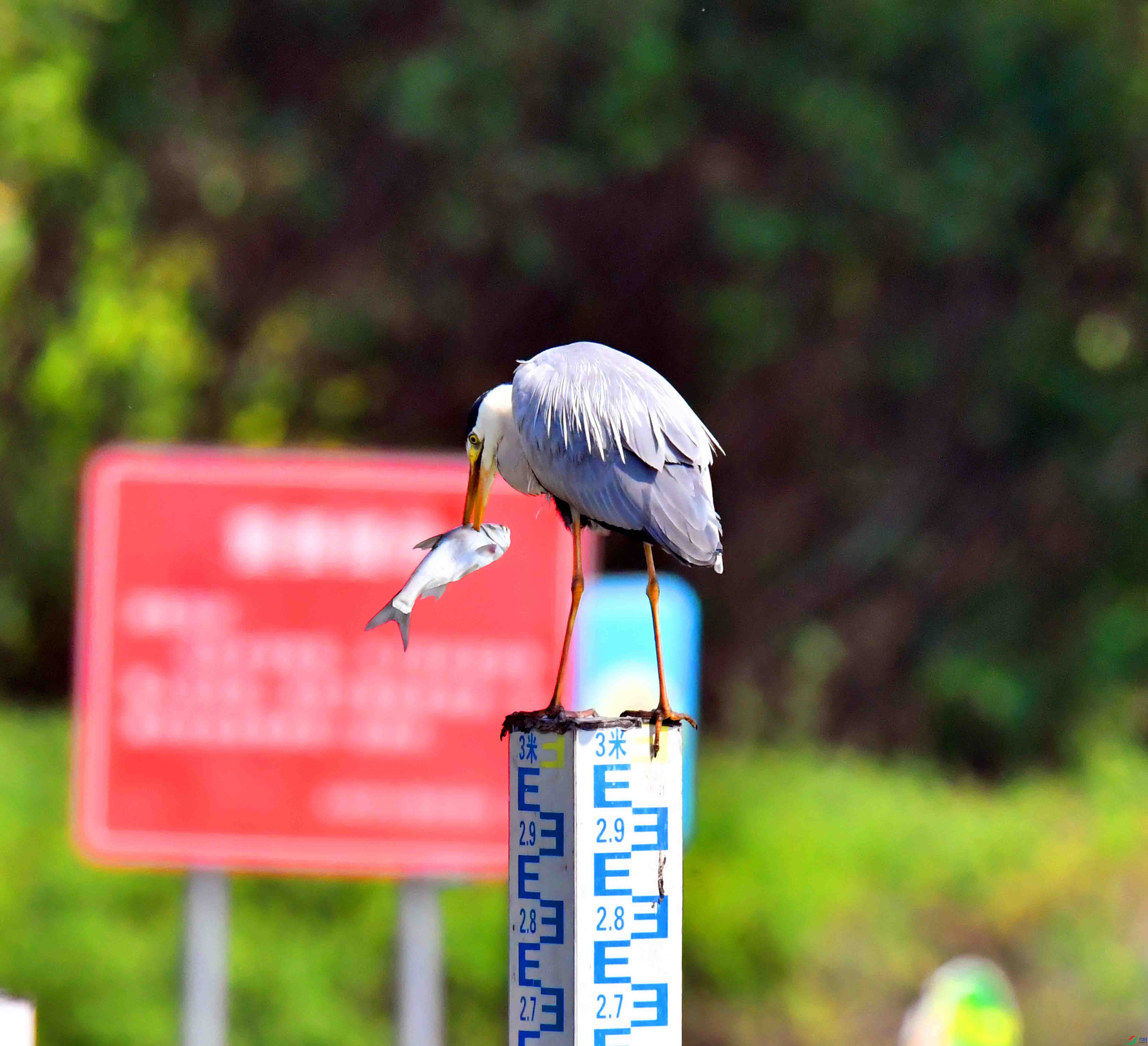 DSC_1359.JPG