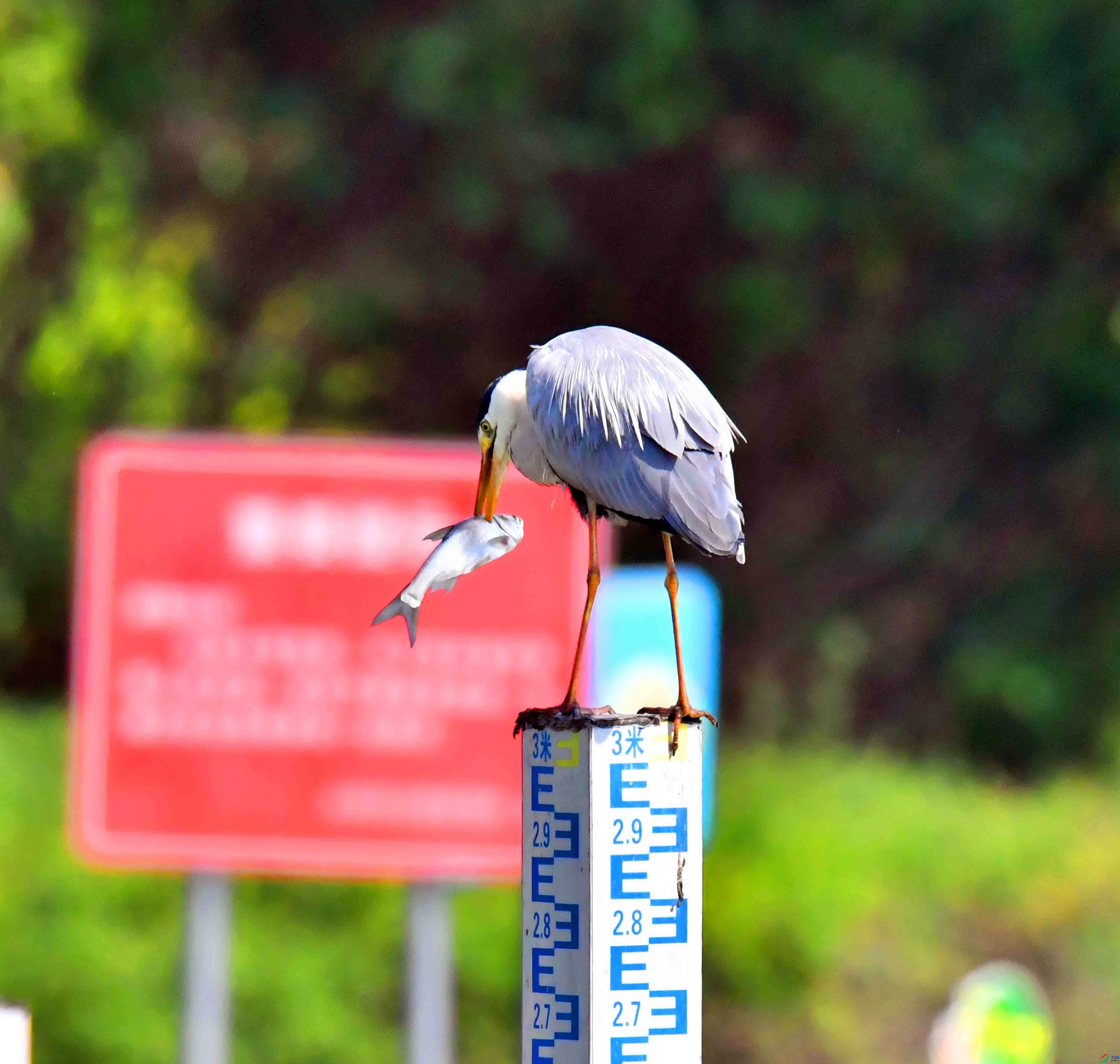DSC_1360.JPG