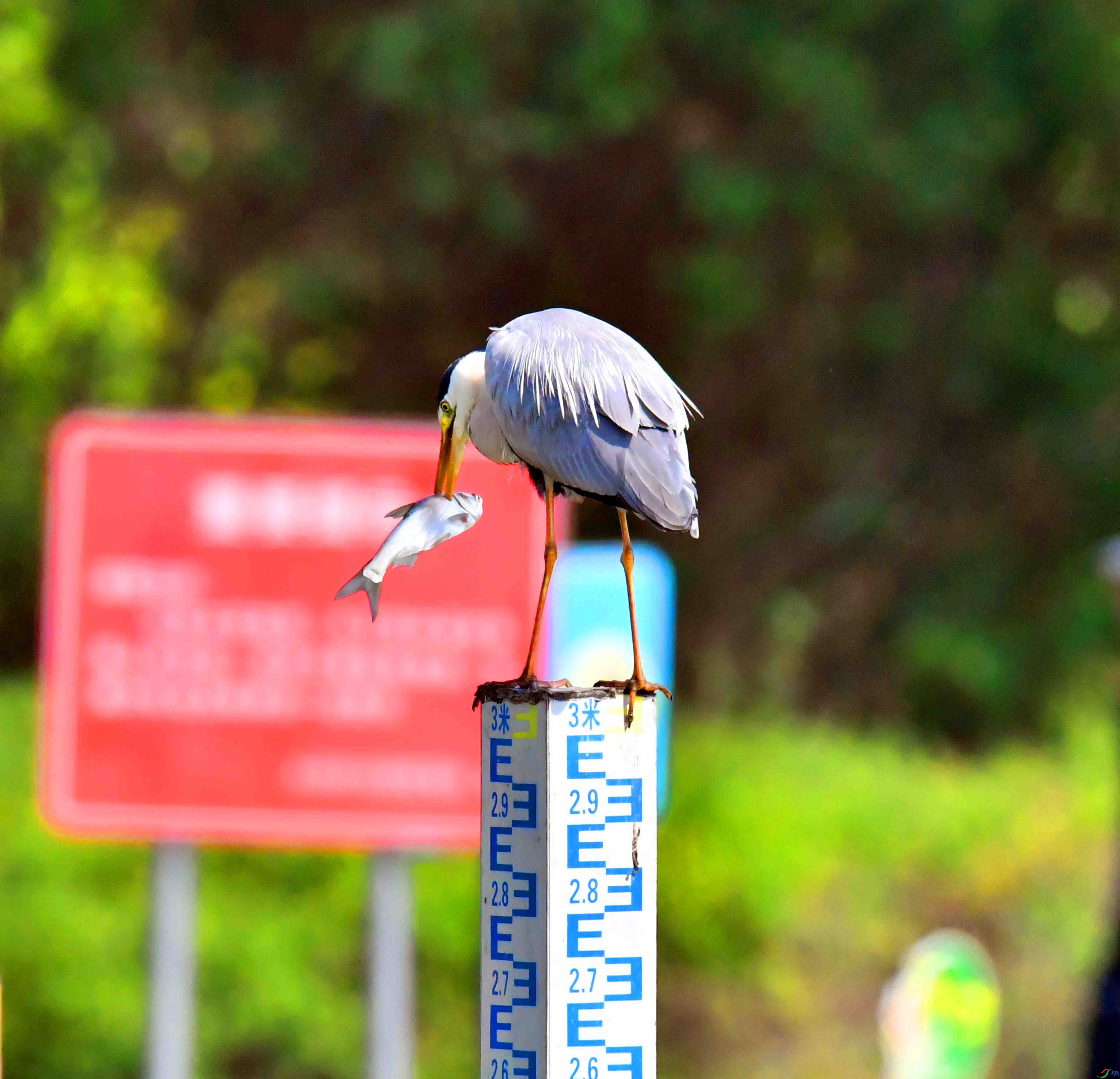 DSC_1361.JPG