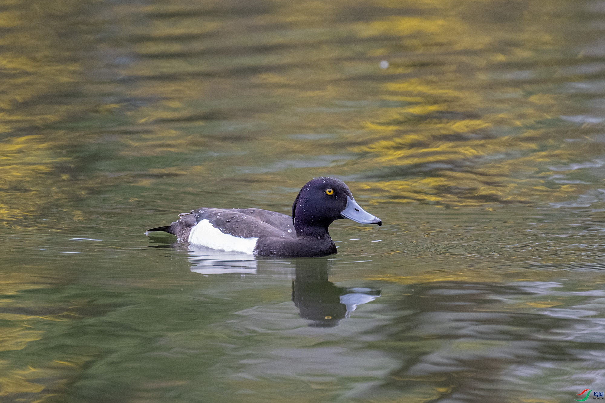 DSC_5148.jpg