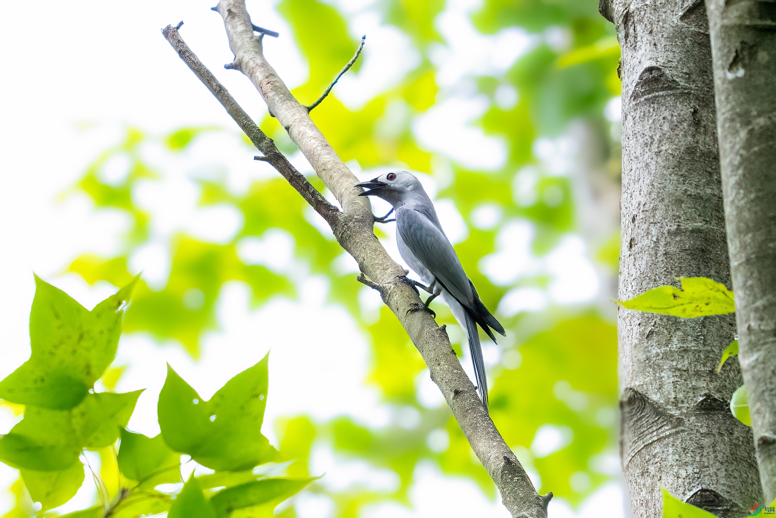 _DSC8024.jpg